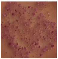 Toxics 13 00201 i013