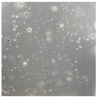 Toxics 13 00201 i017