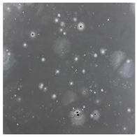 Toxics 13 00201 i018