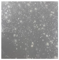 Toxics 13 00201 i022