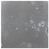 Toxics 13 00201 i024