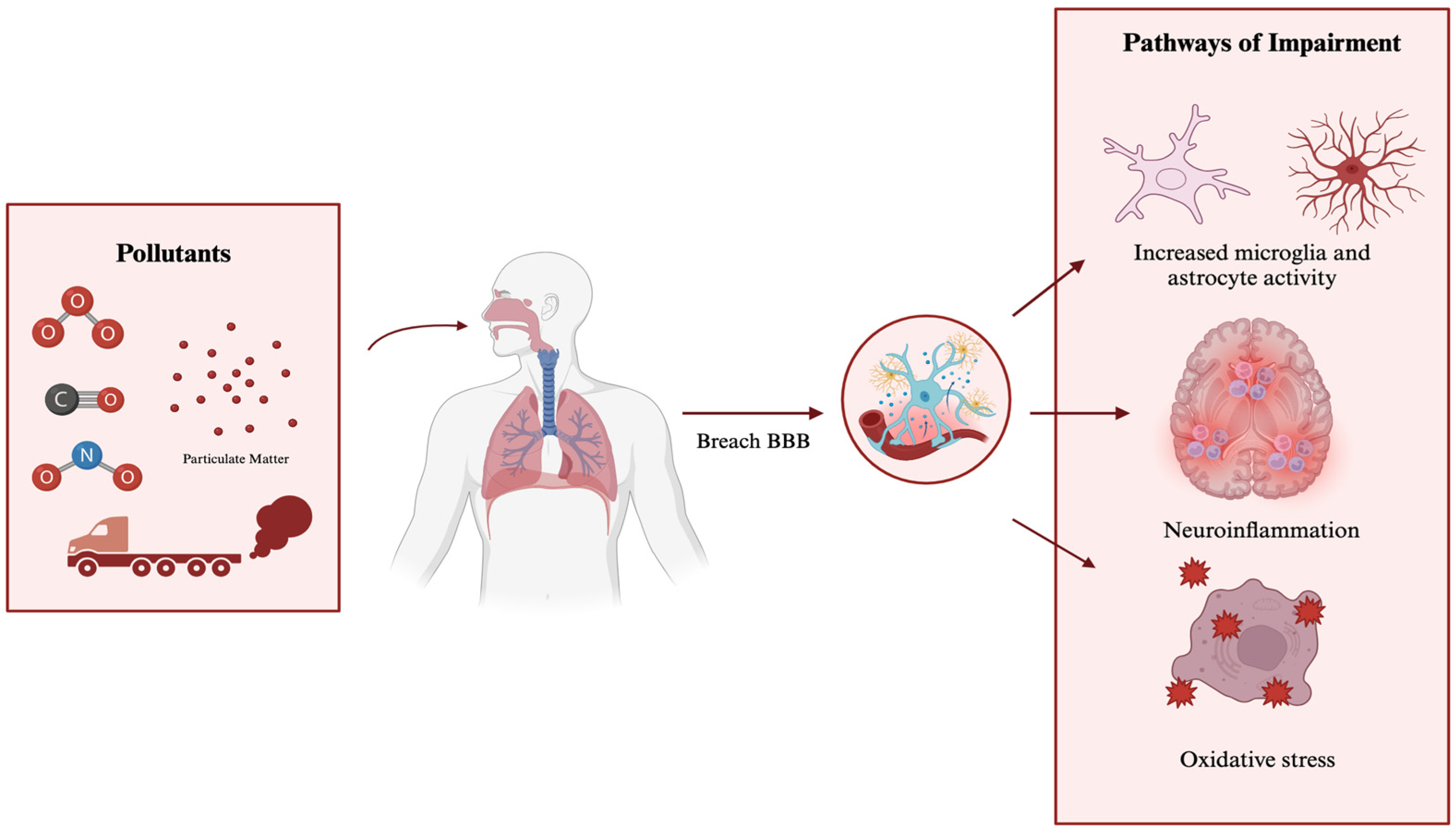 Toxics 13 00207 g001