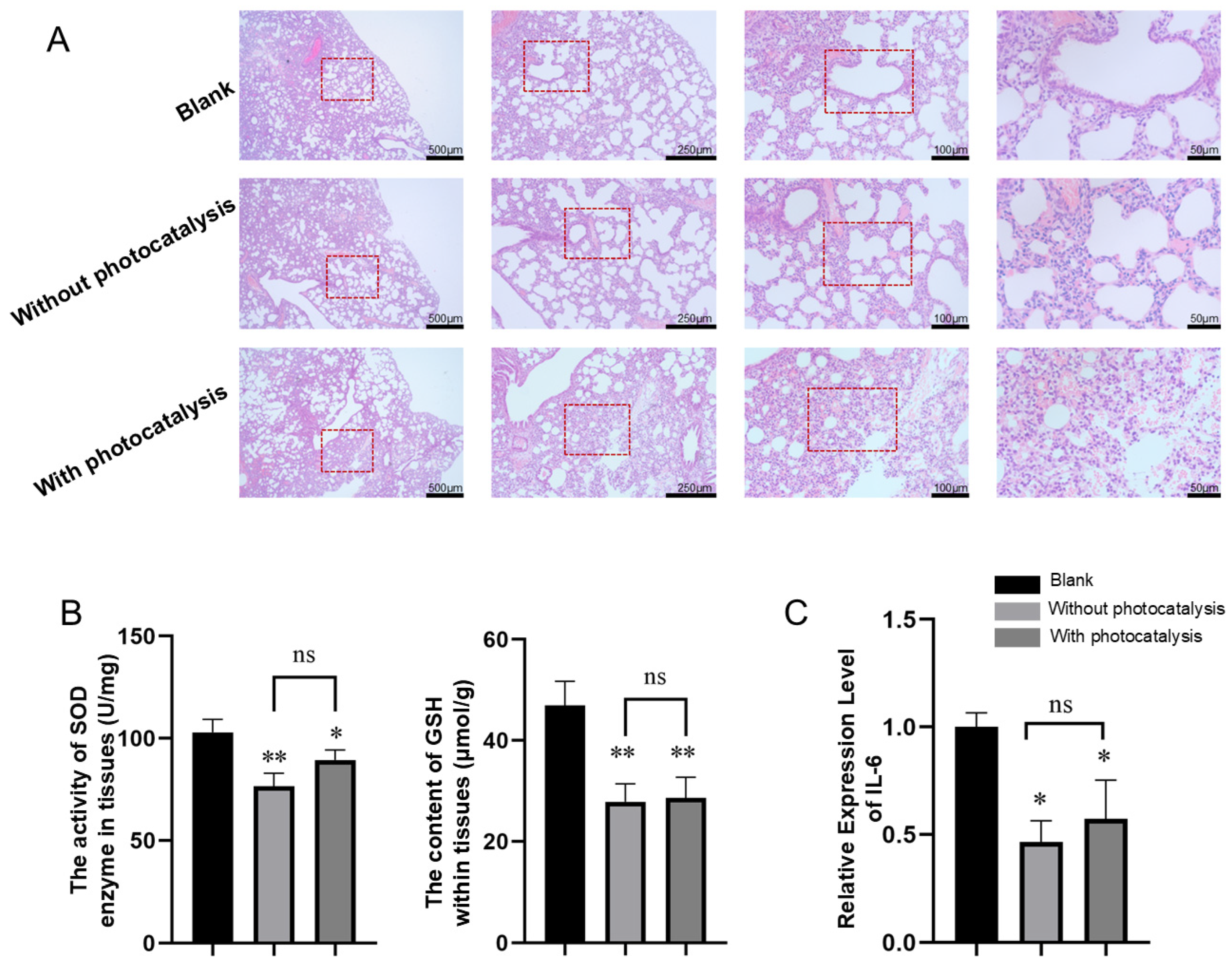 Toxics 13 00221 g007