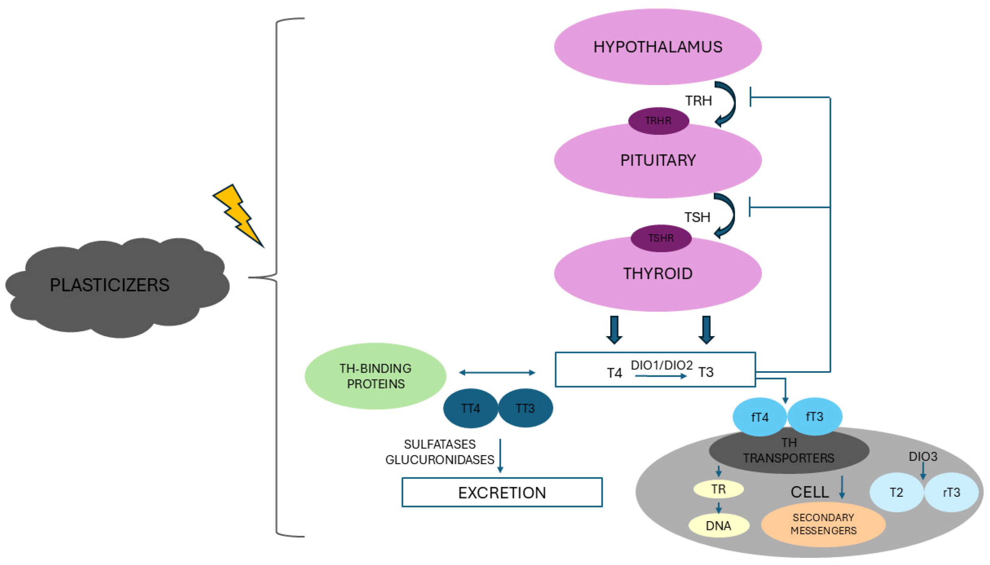 Toxics 13 00222 g001
