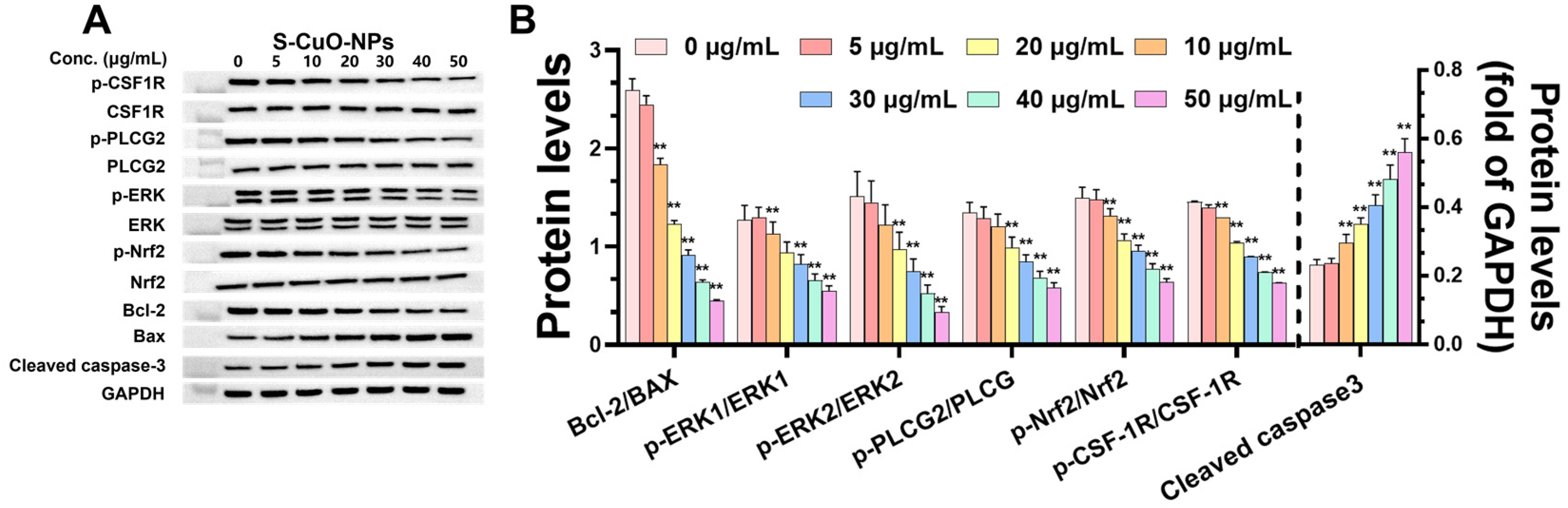 Toxics 13 00231 g006