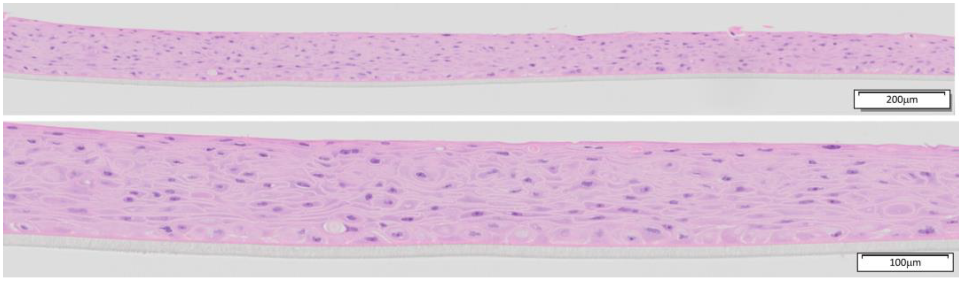 Toxics 13 00233 g001