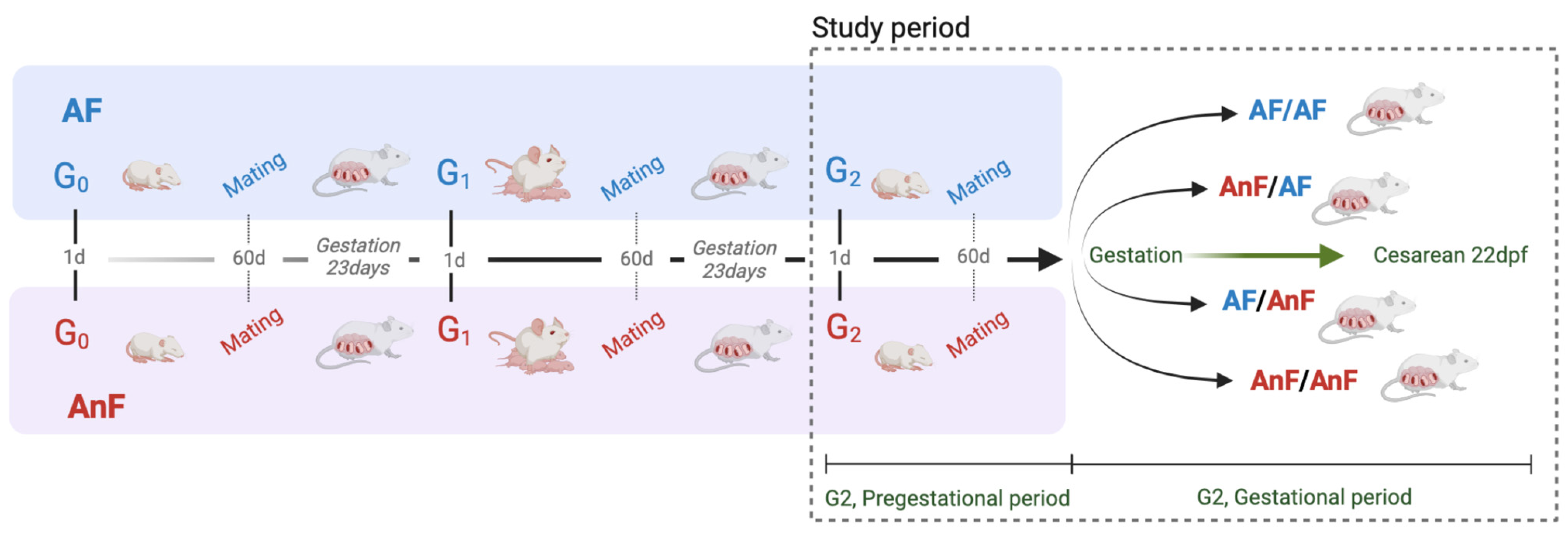 Toxics 13 00238 g002