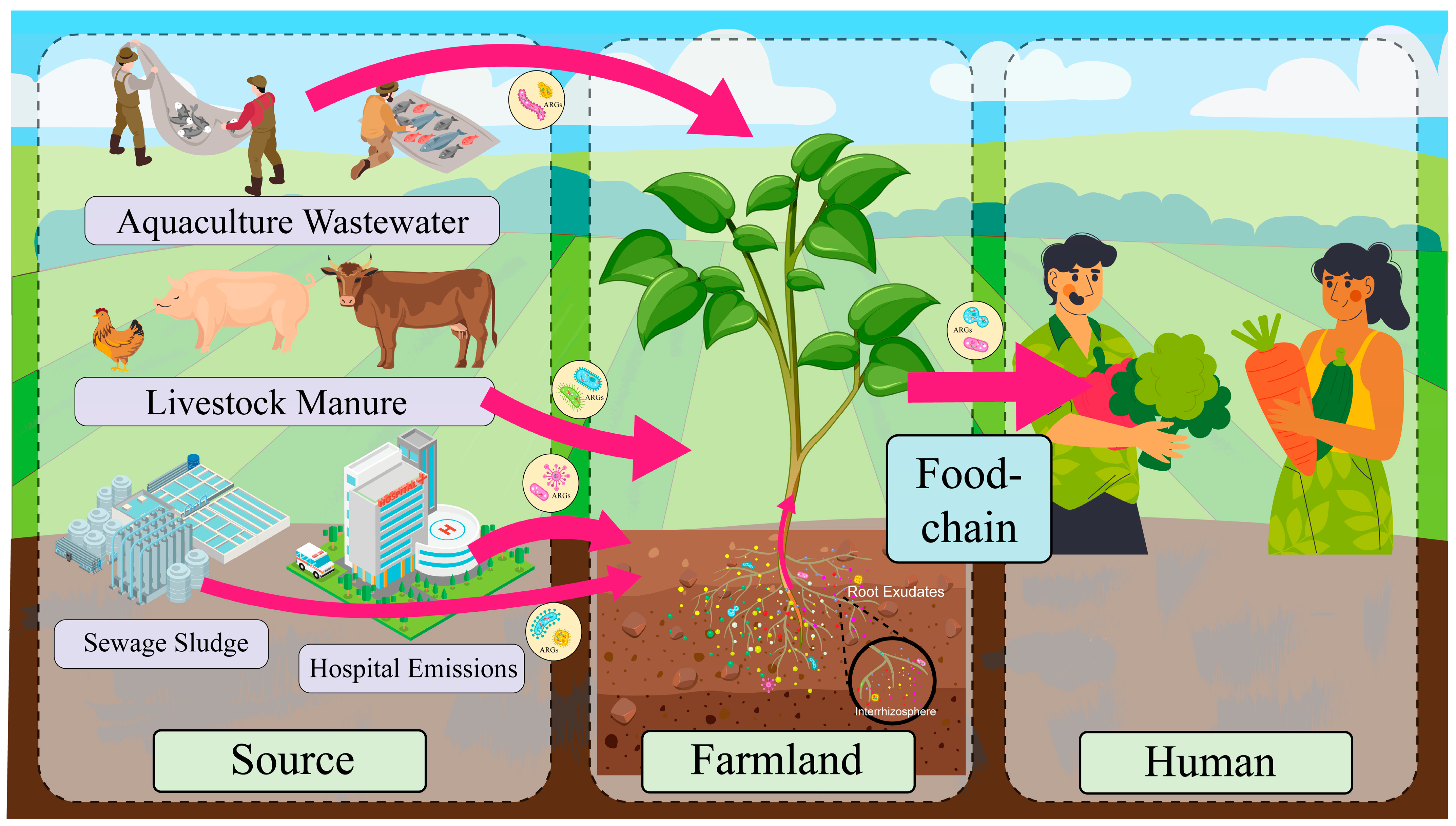 Toxics 13 00239 g001