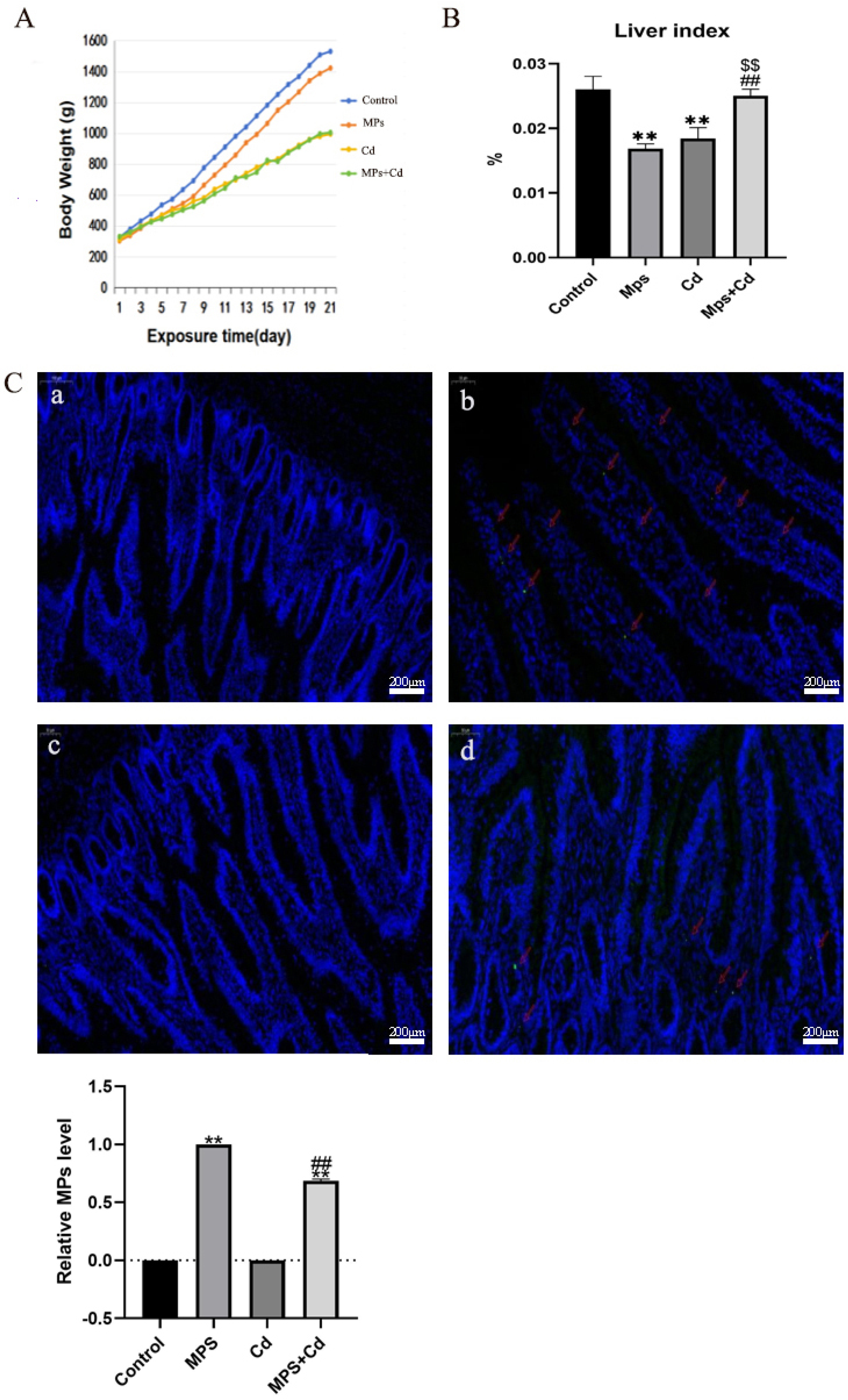 Toxics 13 00248 g001