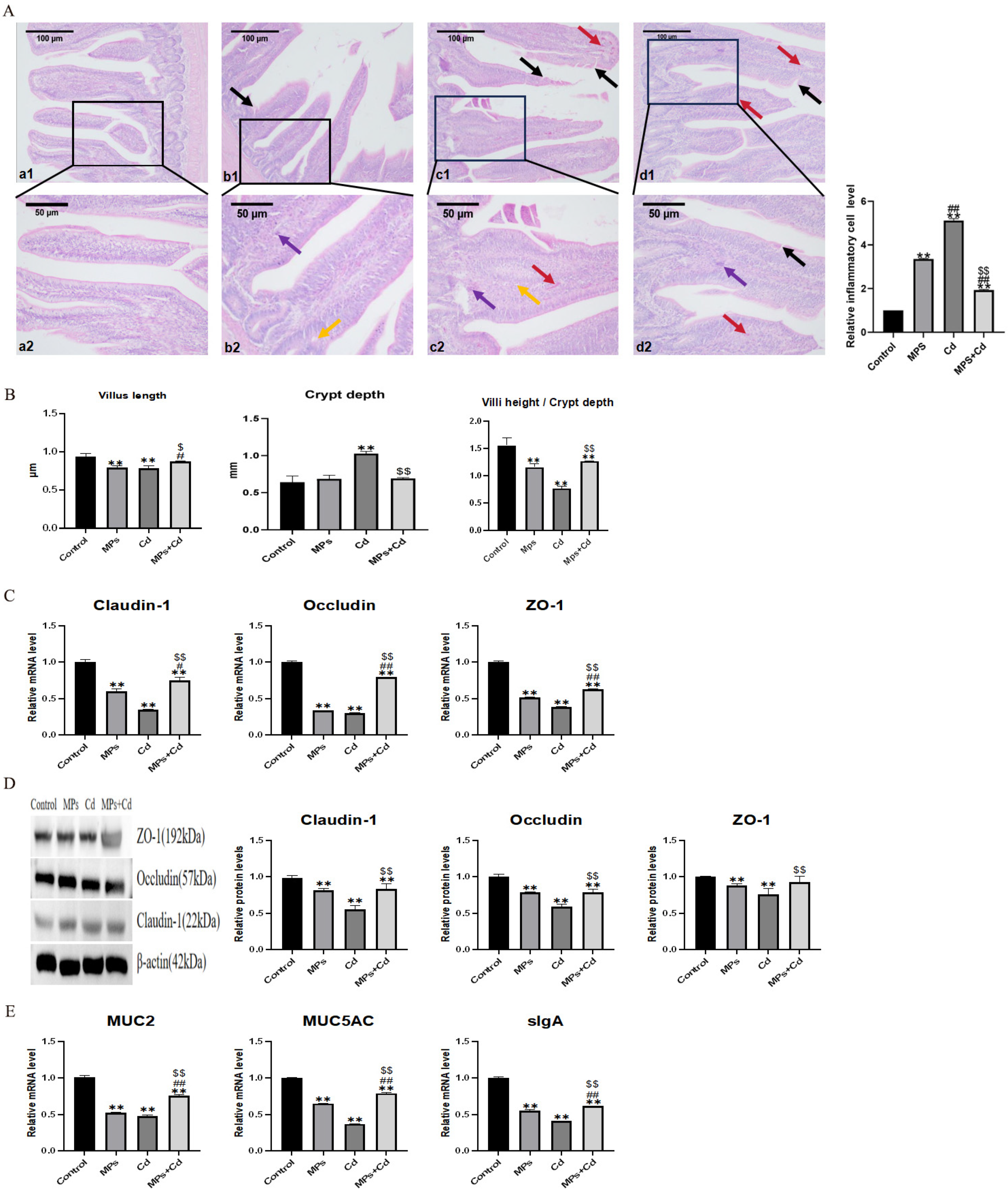 Toxics 13 00248 g002