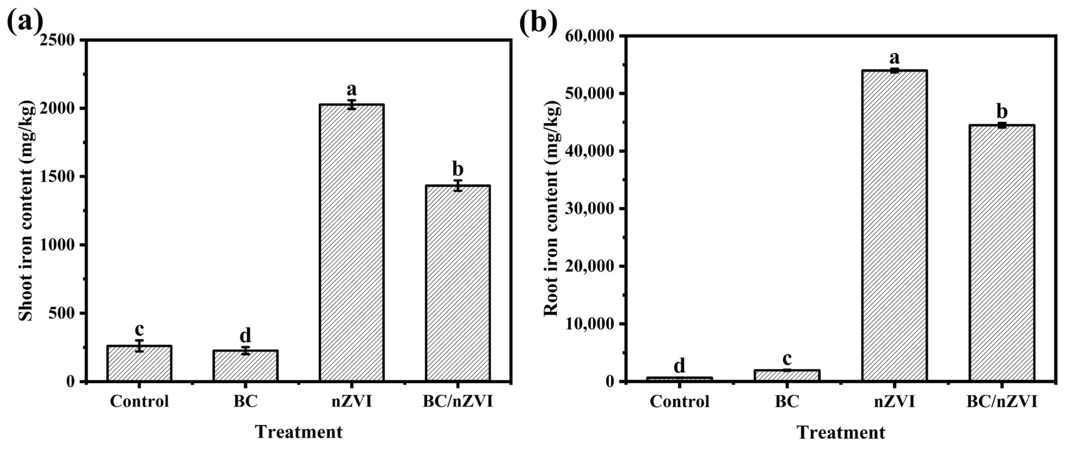 Toxics 13 00250 g005
