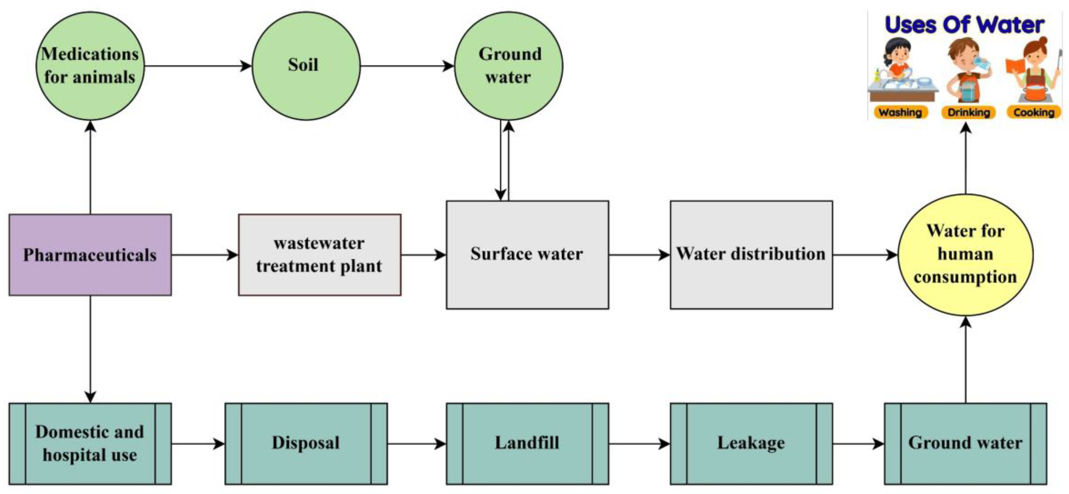 Toxics 13 00252 g001