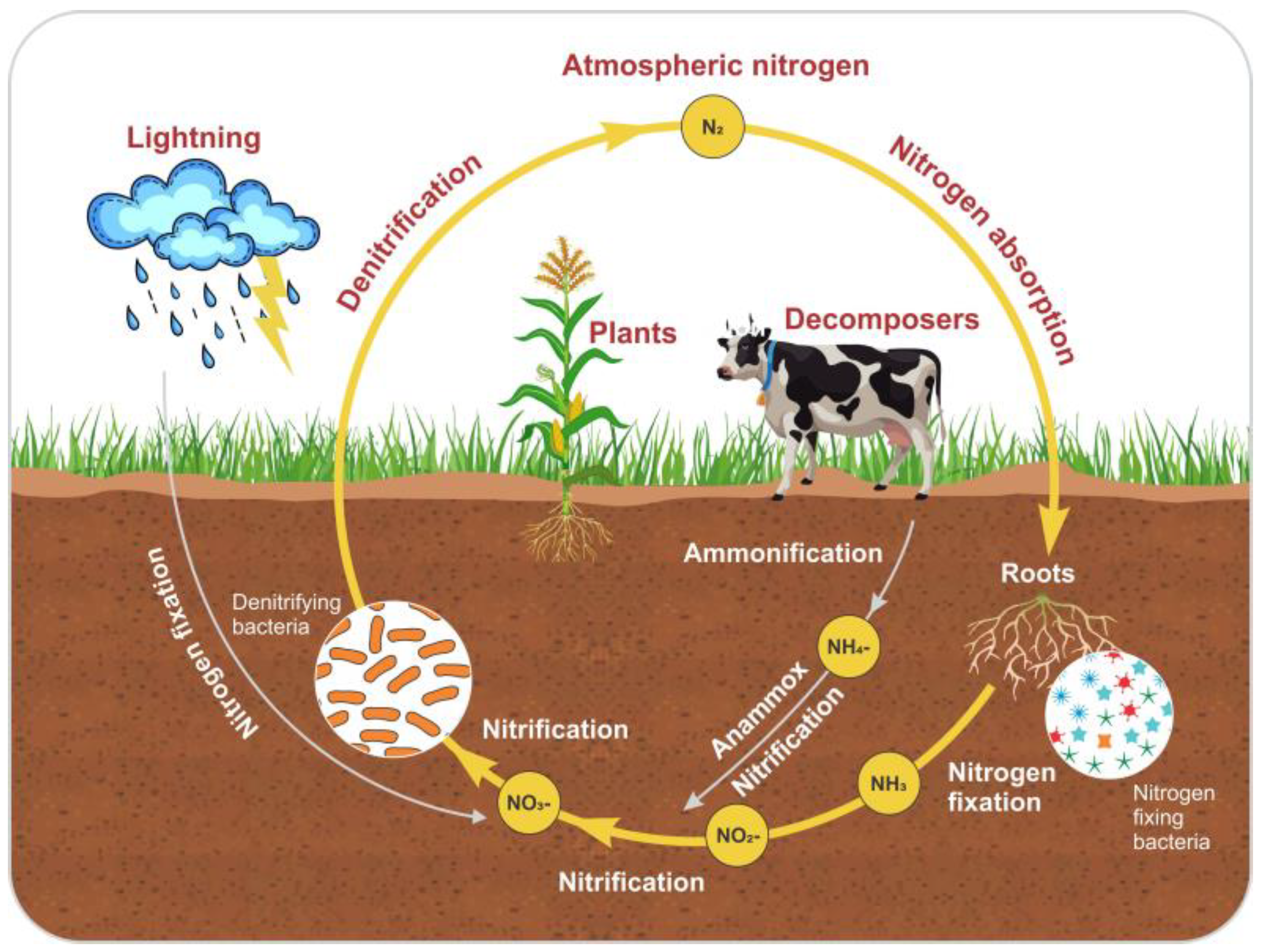 Toxics 13 00252 g004