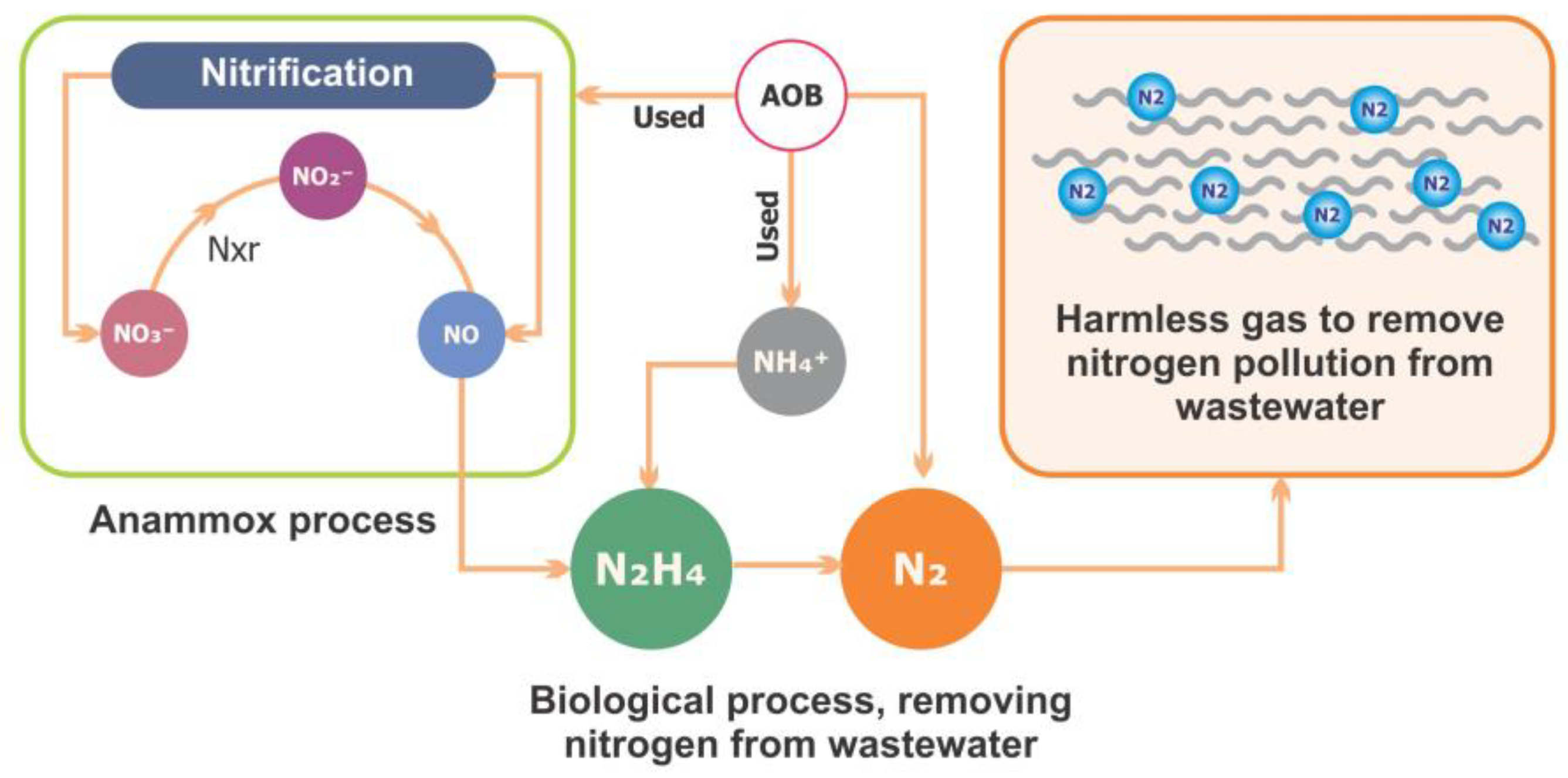 Toxics 13 00252 g006