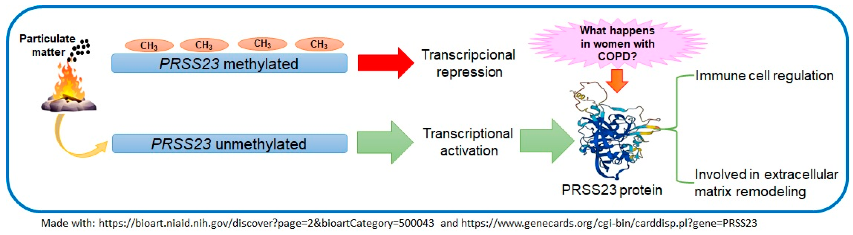 Toxics 13 00253 g002