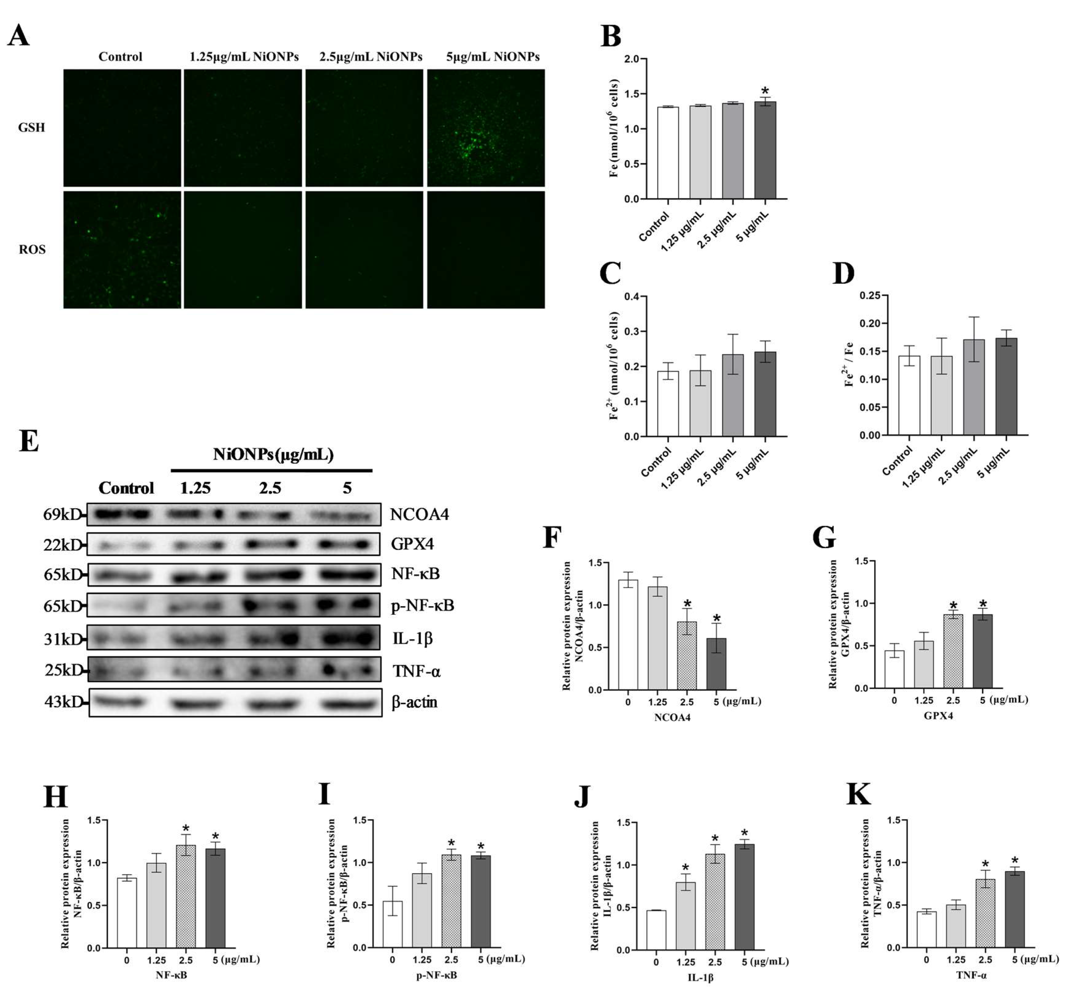 Toxics 13 00265 g003