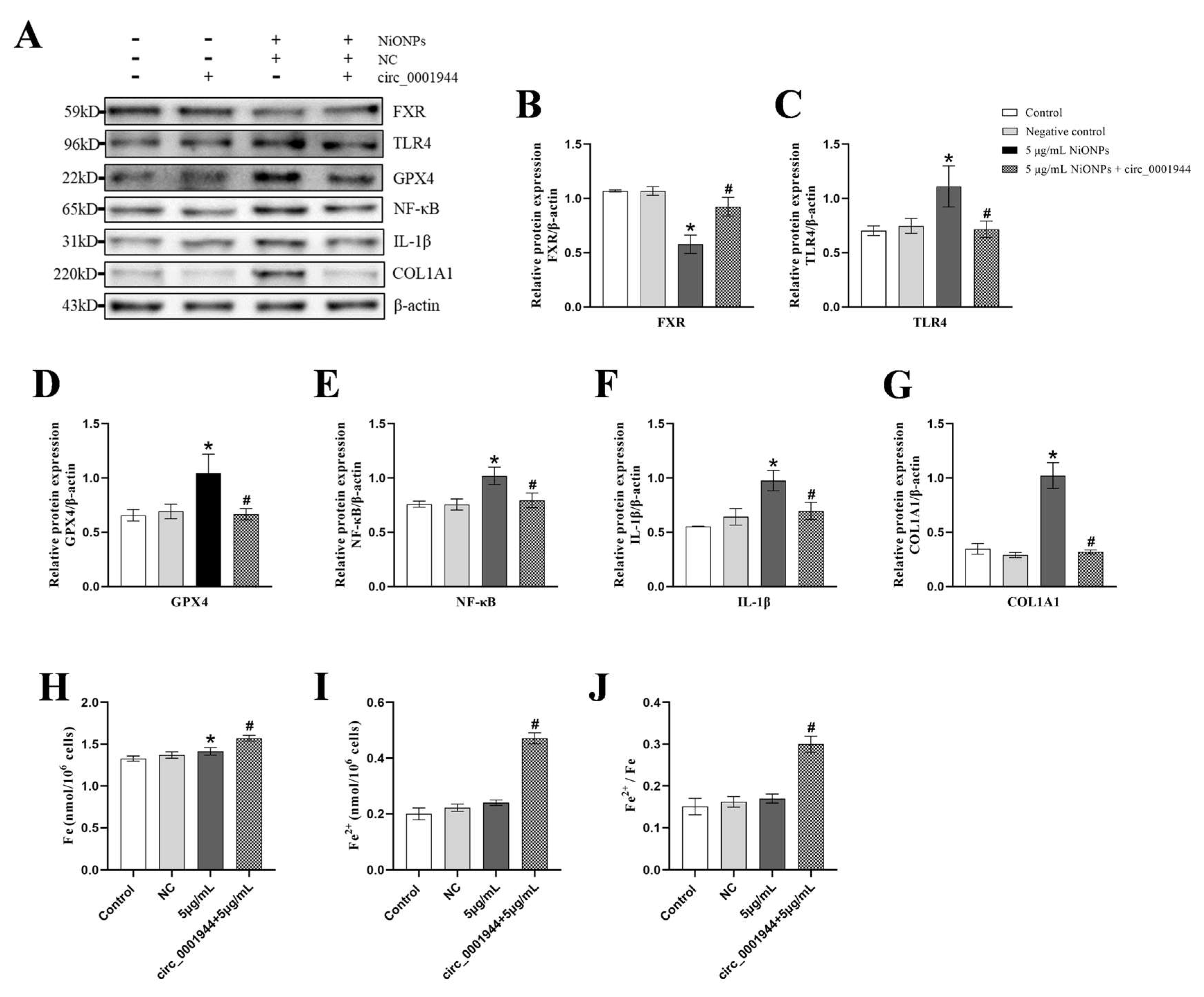 Toxics 13 00265 g010