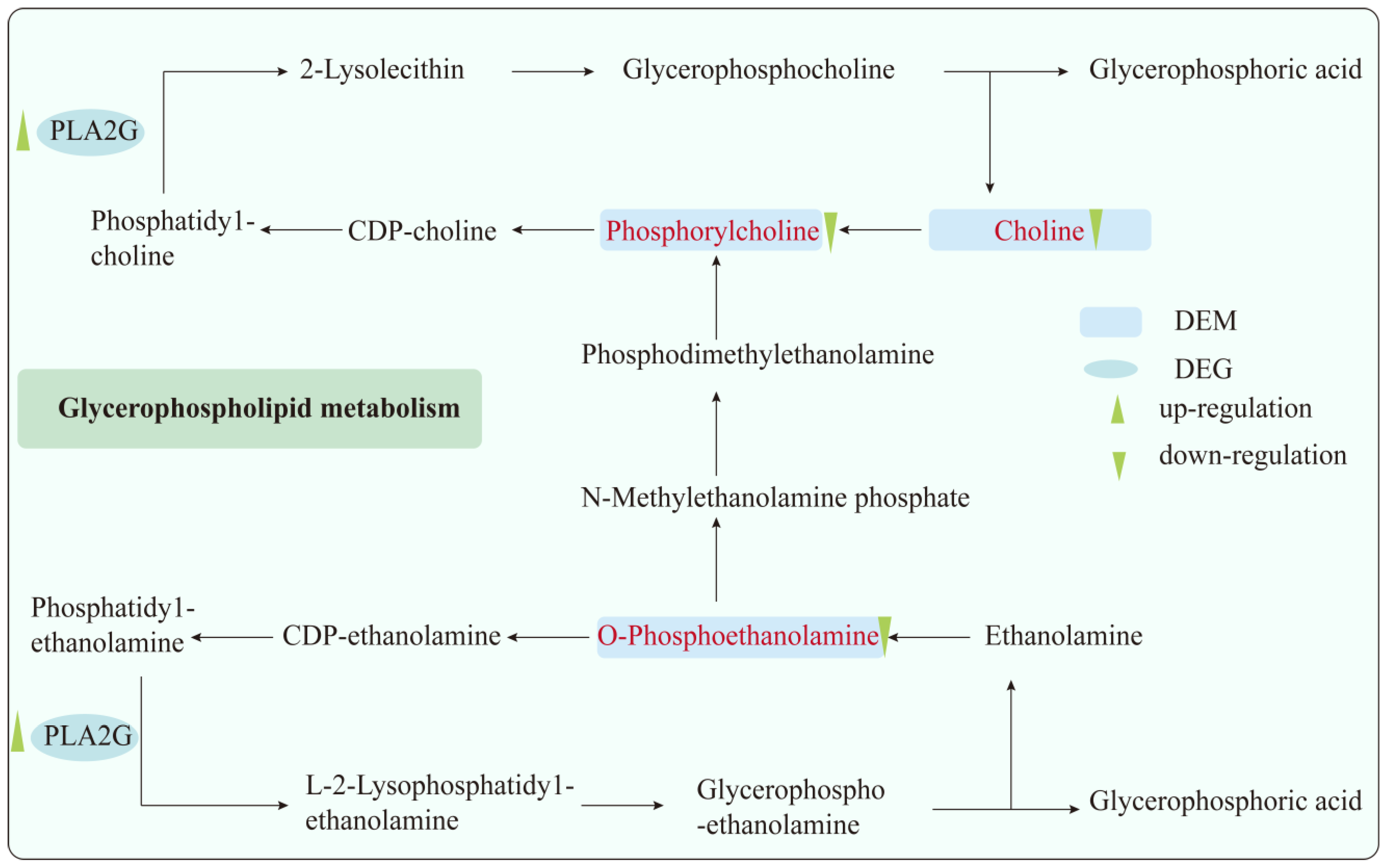 Toxics 13 00271 g006 Toxics 13 00271 g006