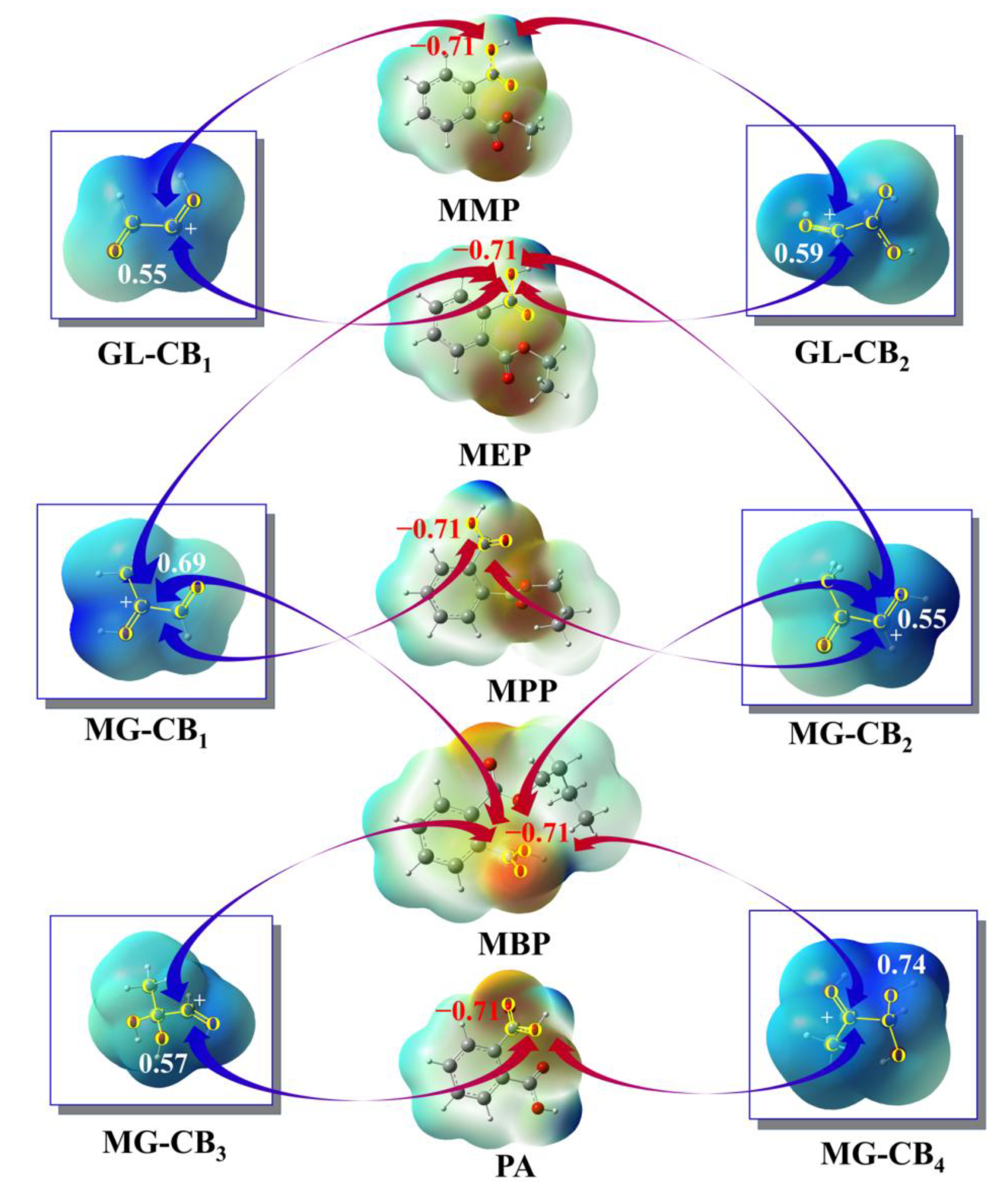 Aqueous-Phase Reaction Mechanisms of Small α-Dicarbonyls in