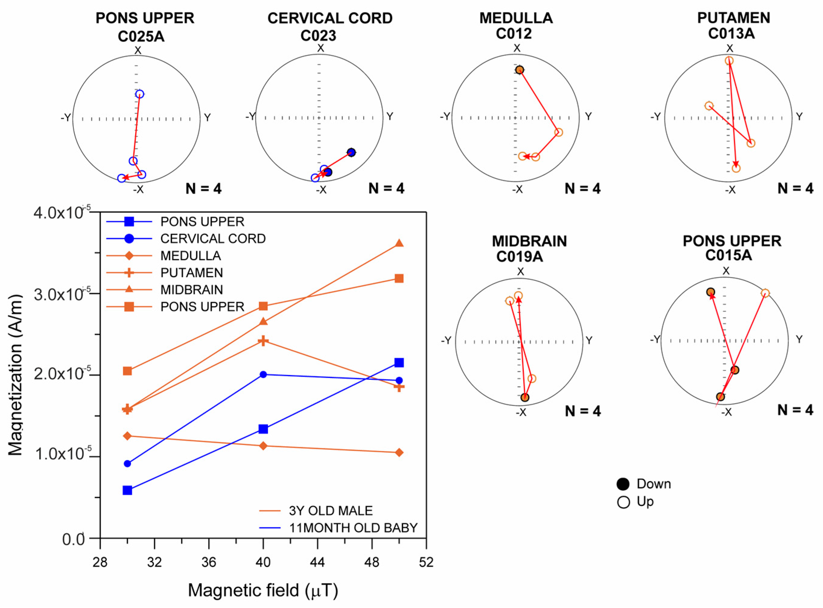 Toxics 13 00284 g001