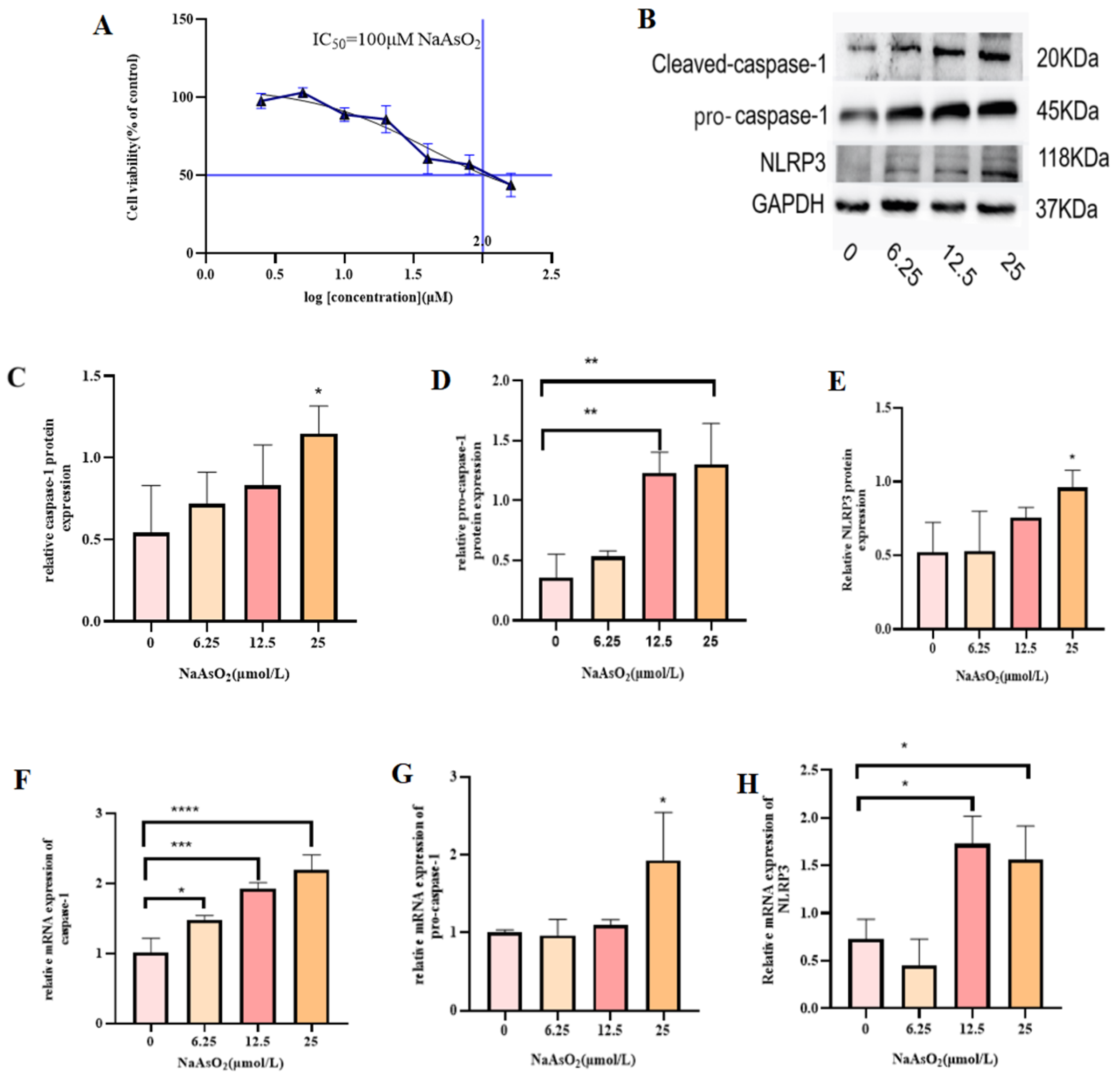 Toxics 13 00287 g001