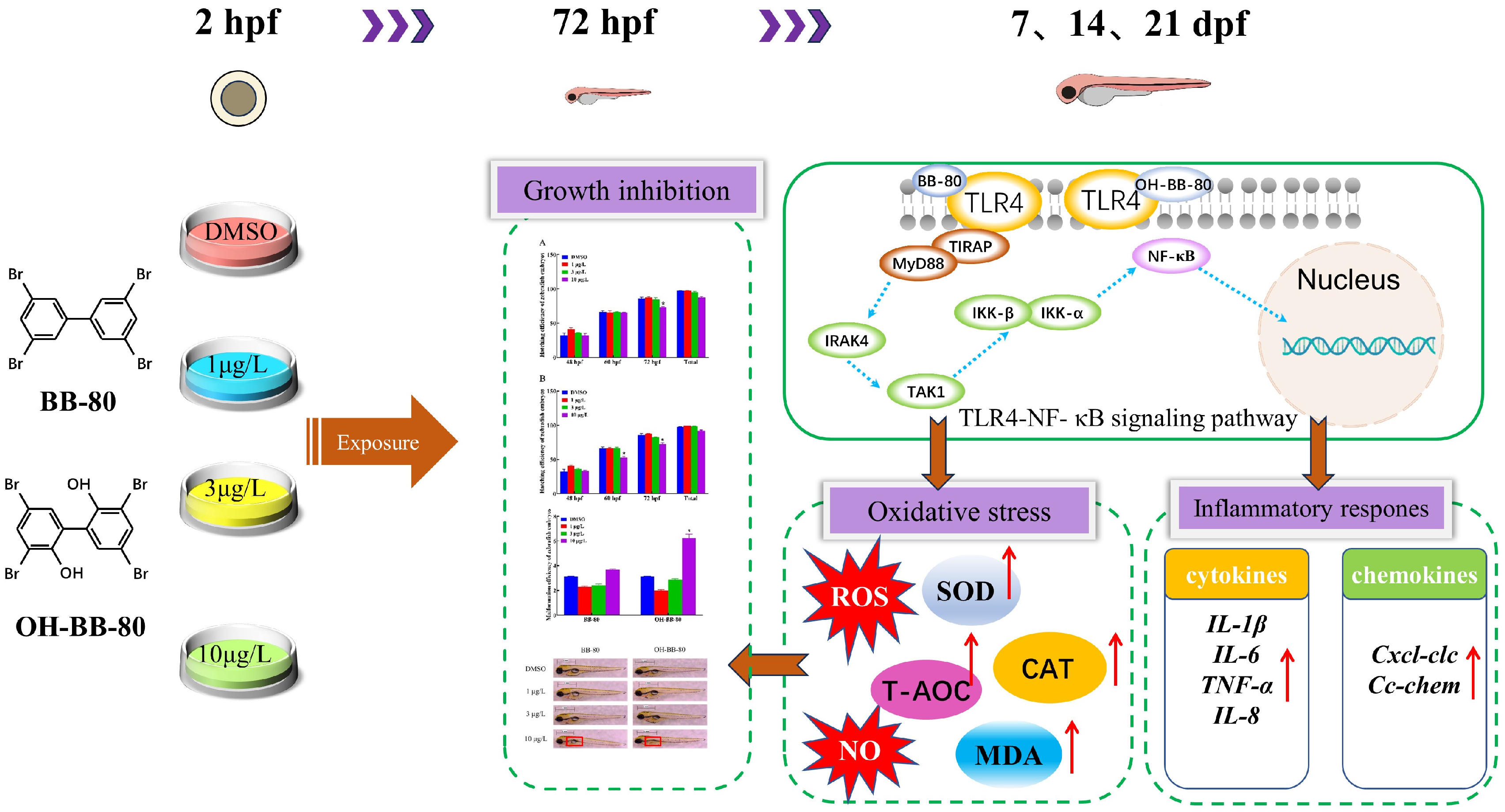Toxics 13 00293 g009