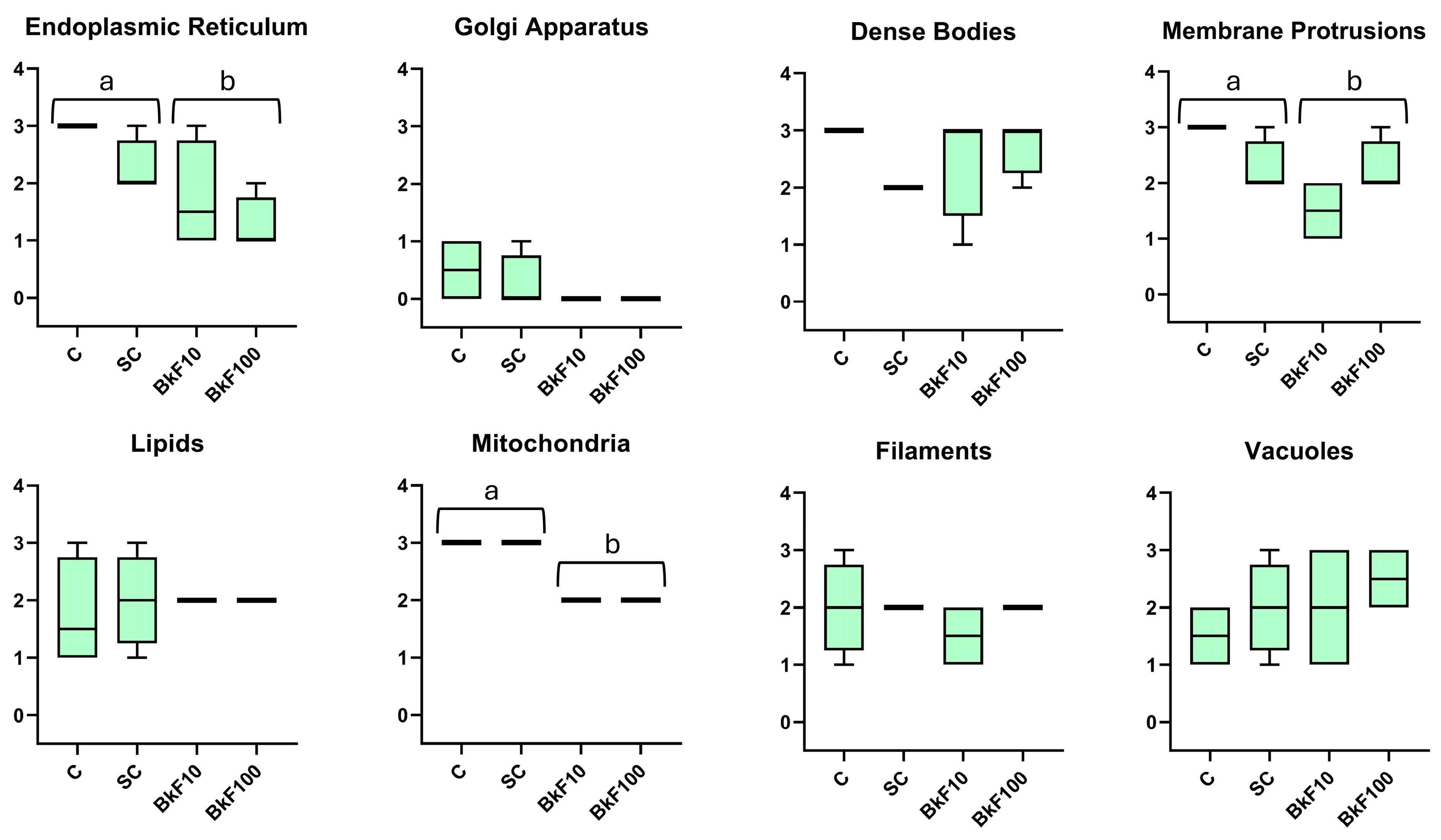Toxics 13 00302 g006