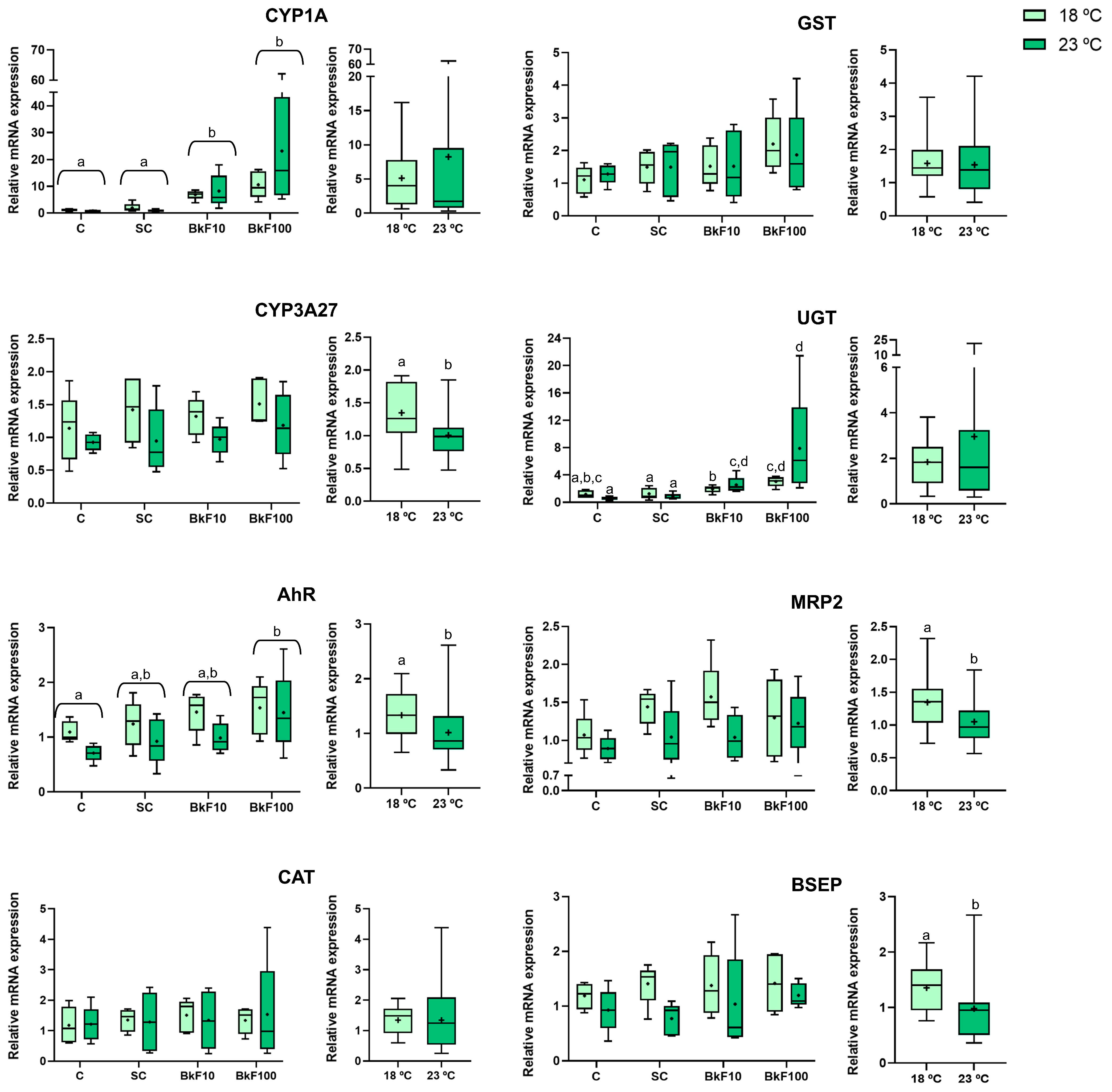 Toxics 13 00302 g008