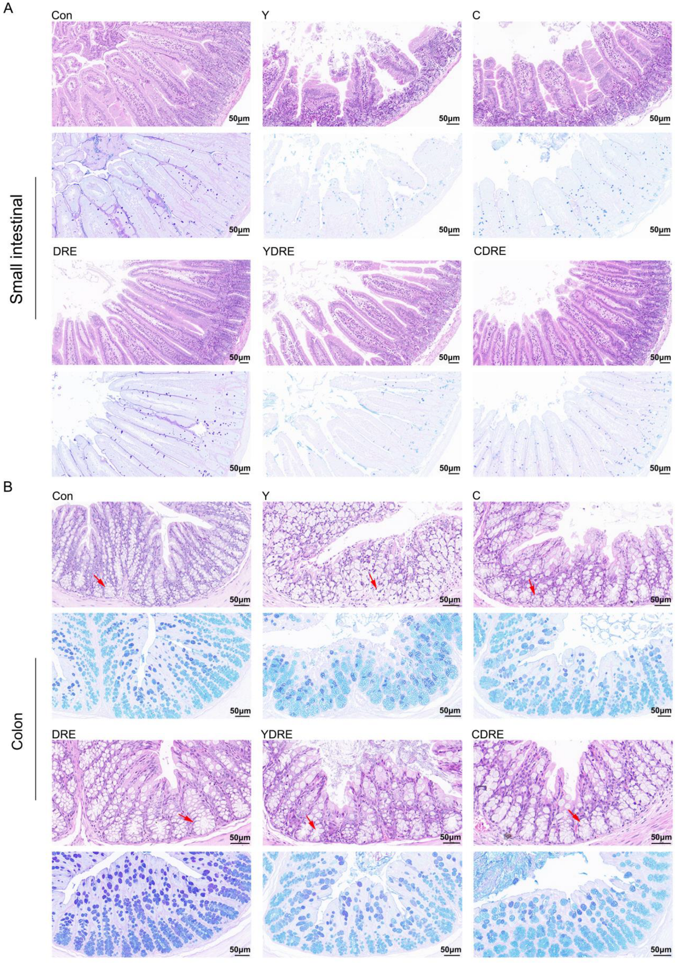 Toxics 13 00310 g002