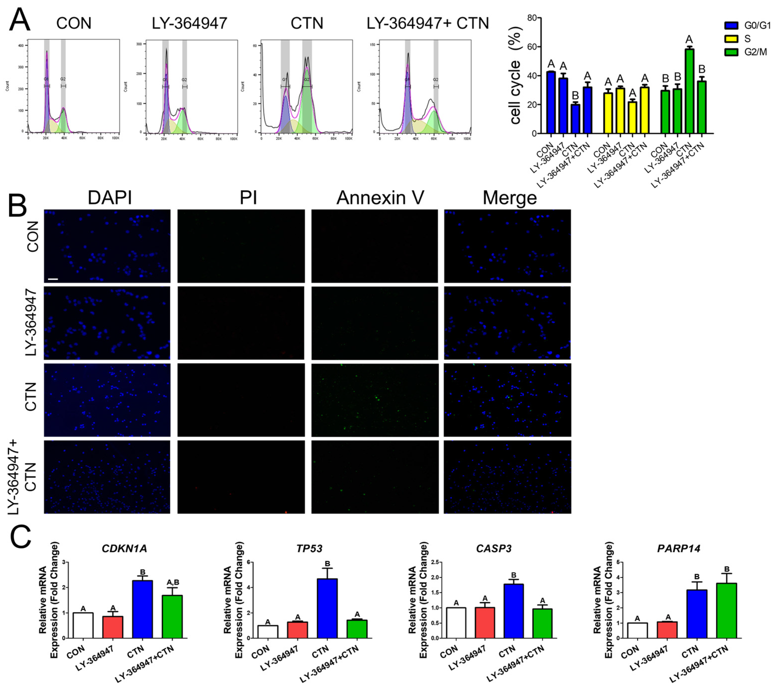 Toxics 13 00315 g004