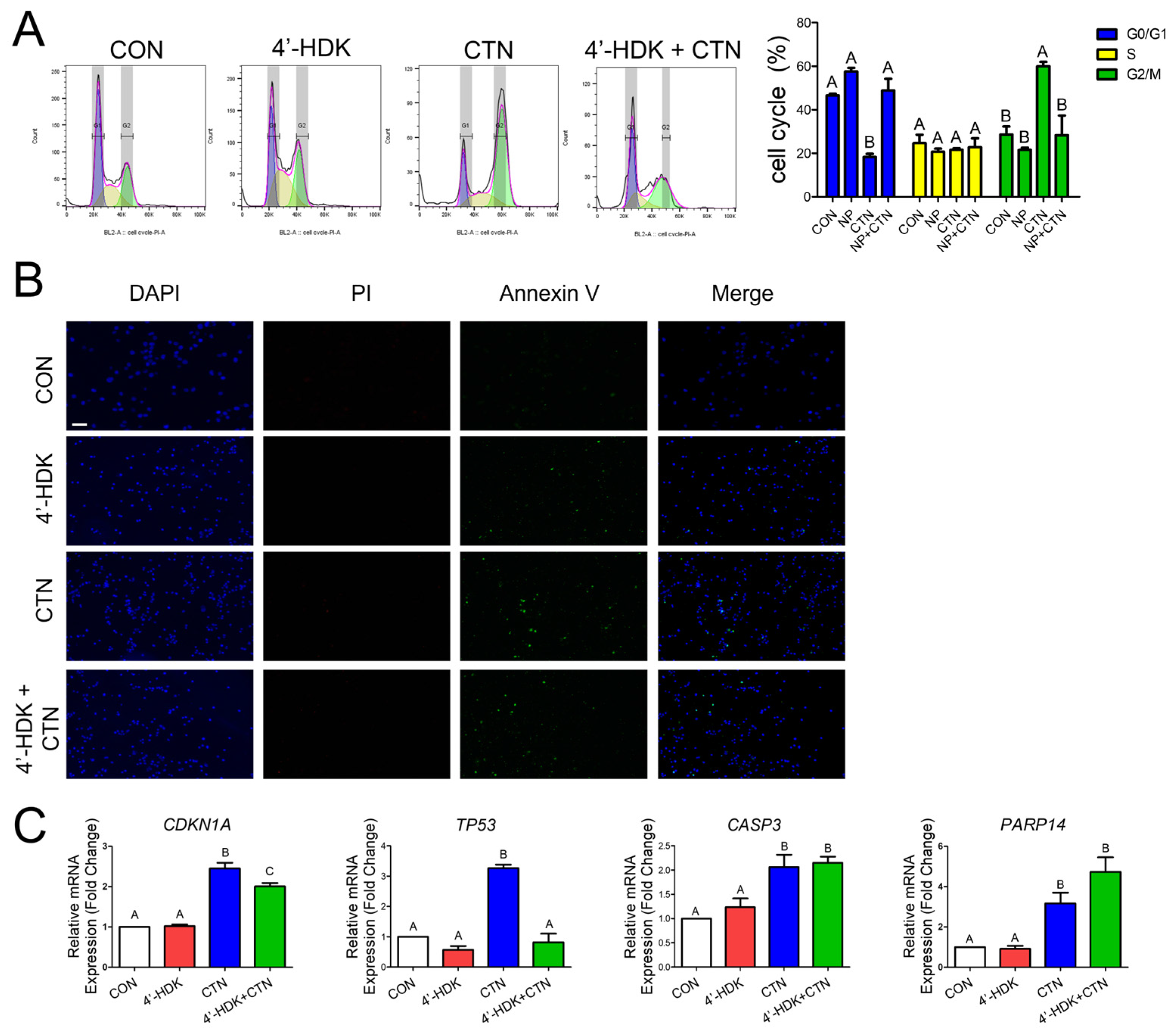 Toxics 13 00315 g006