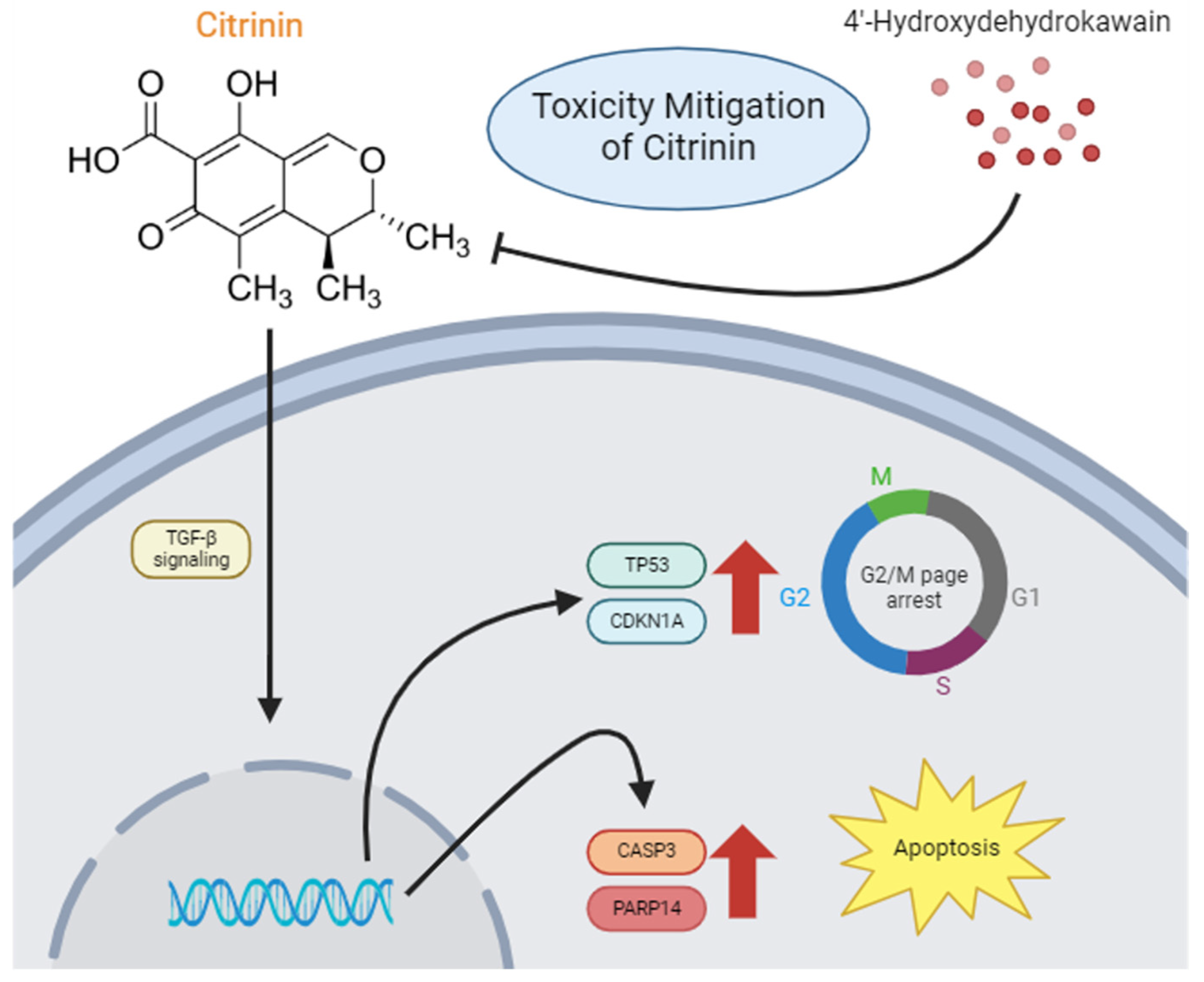 Toxics 13 00315 g007