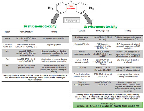 Neurotransmitter Systems Affected by PBDE Exposure: Insights Neurotransmitter Systems Affected by PBDE Exposure: Insights
