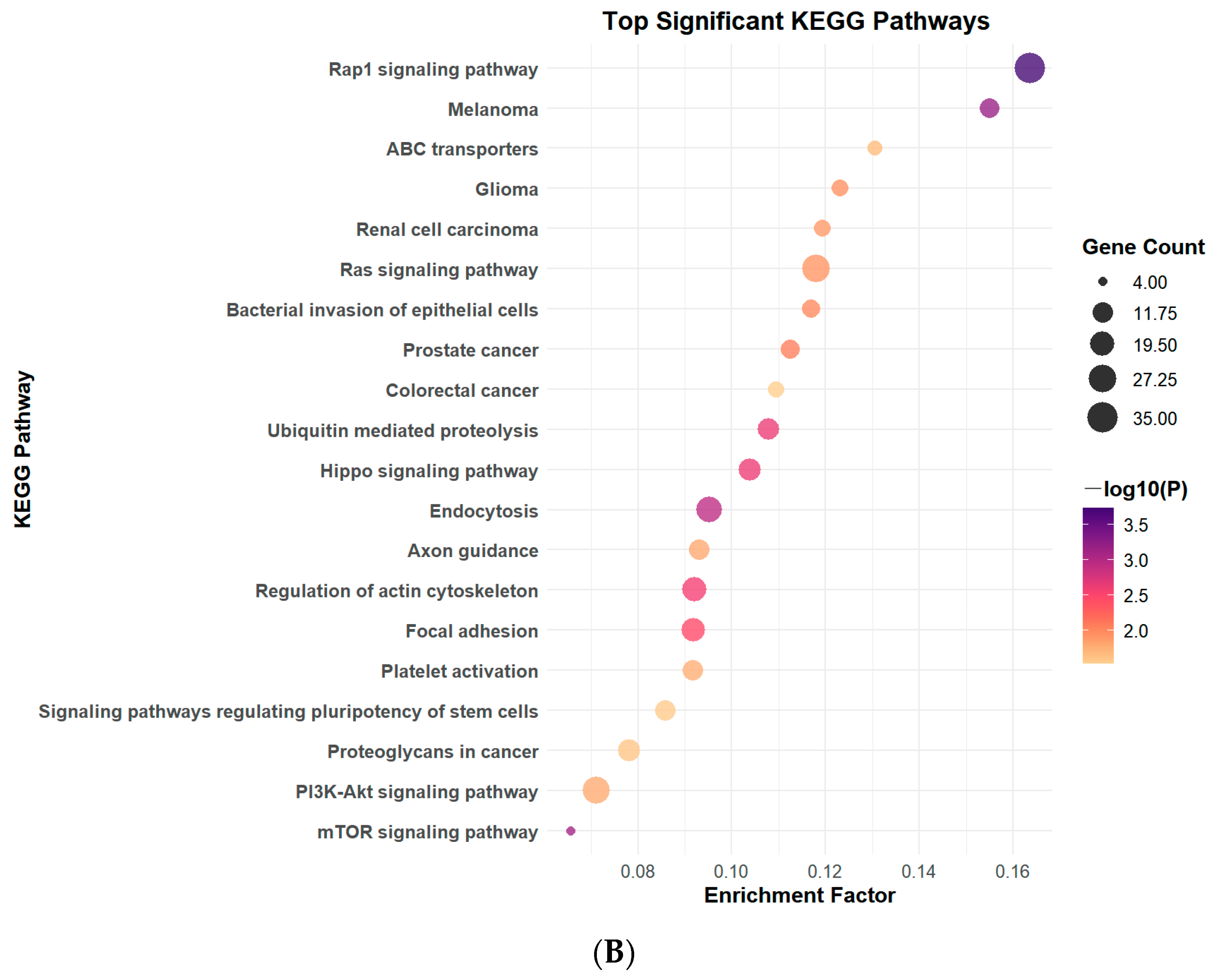 Toxics 13 00320 g002b