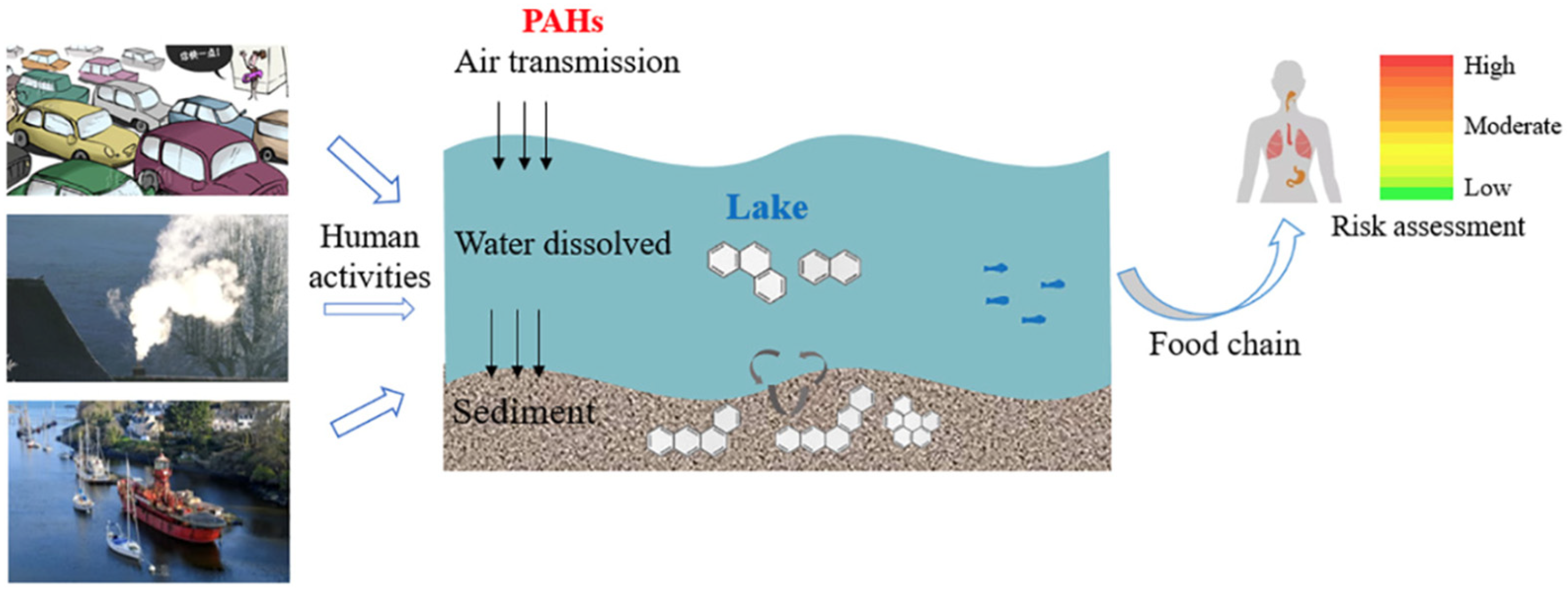 Toxics 13 00321 g002