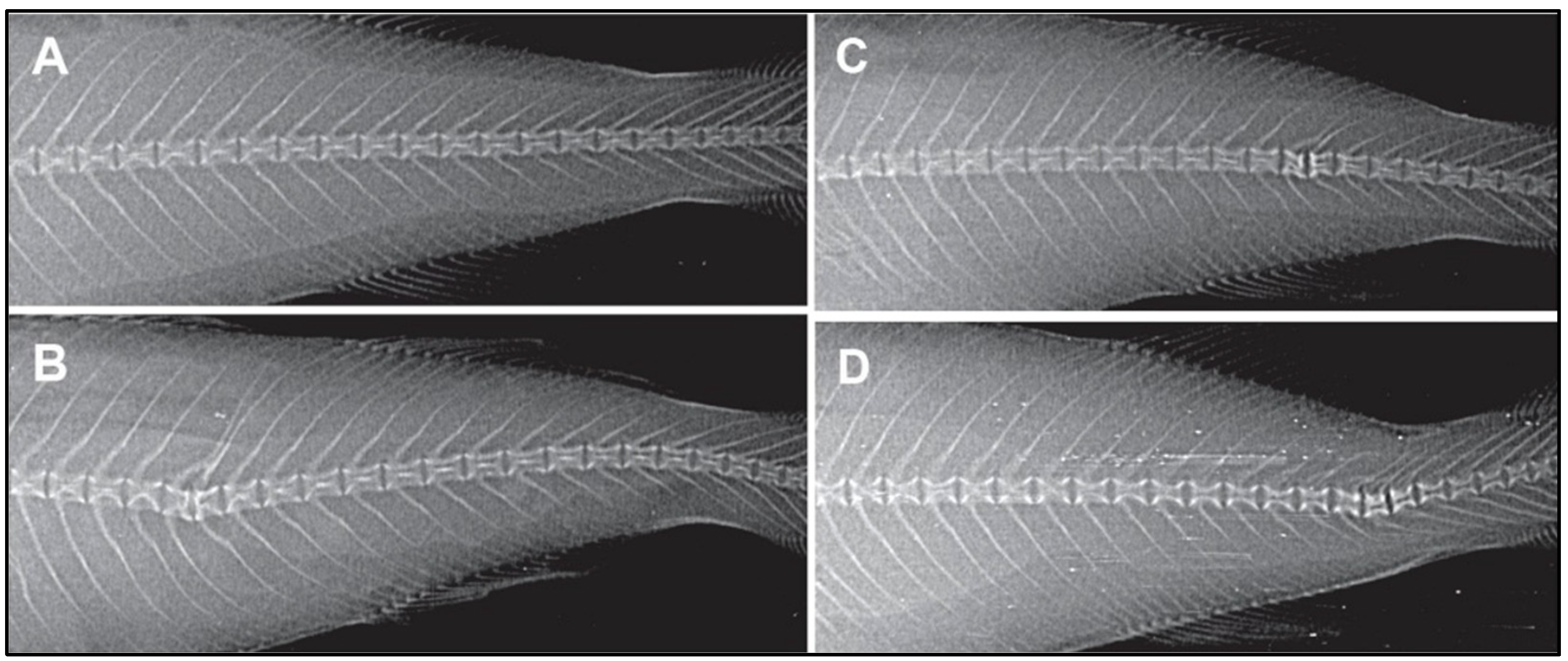 Toxics 13 00321 g008