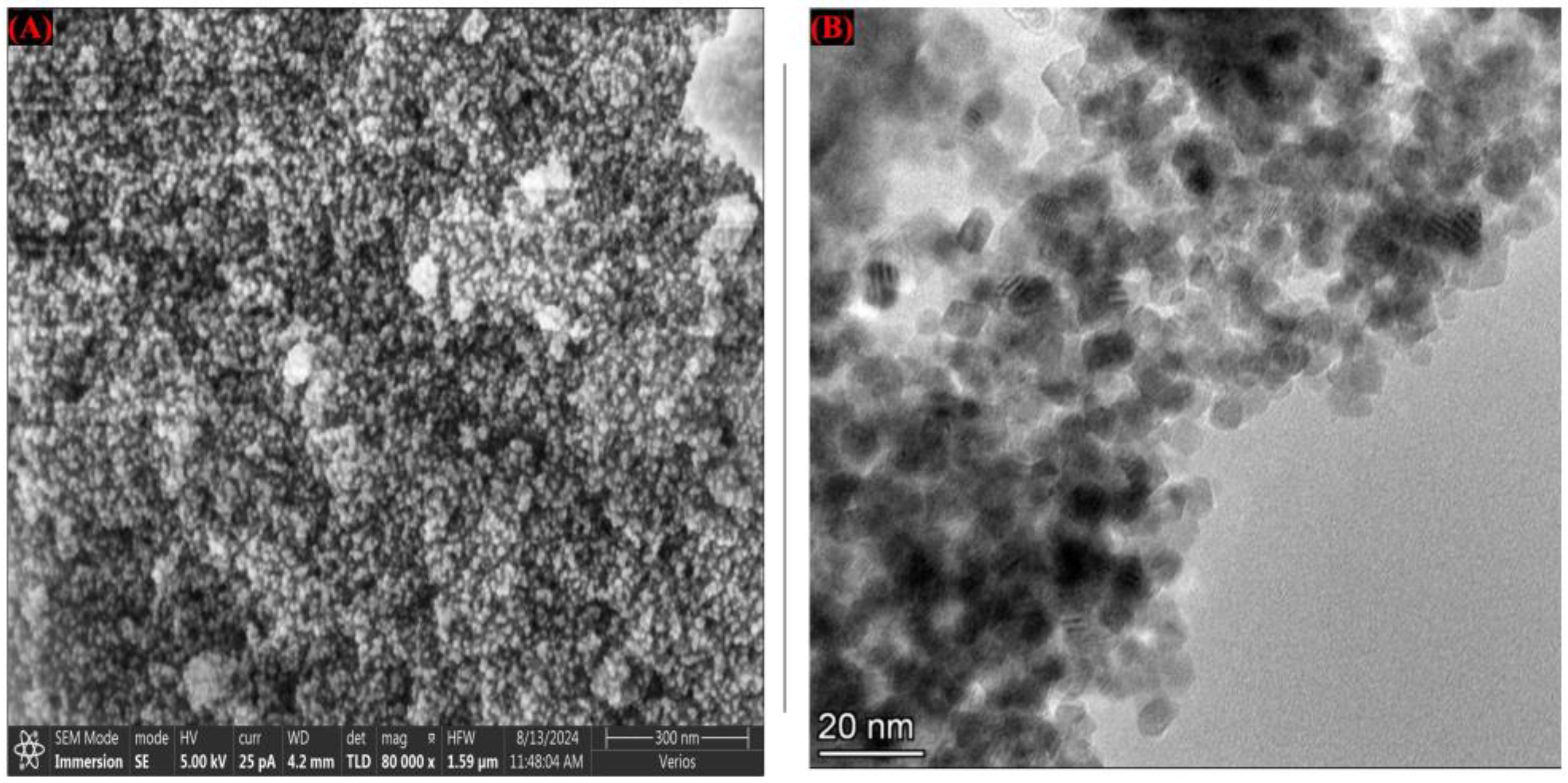 Toxics 13 00324 g001