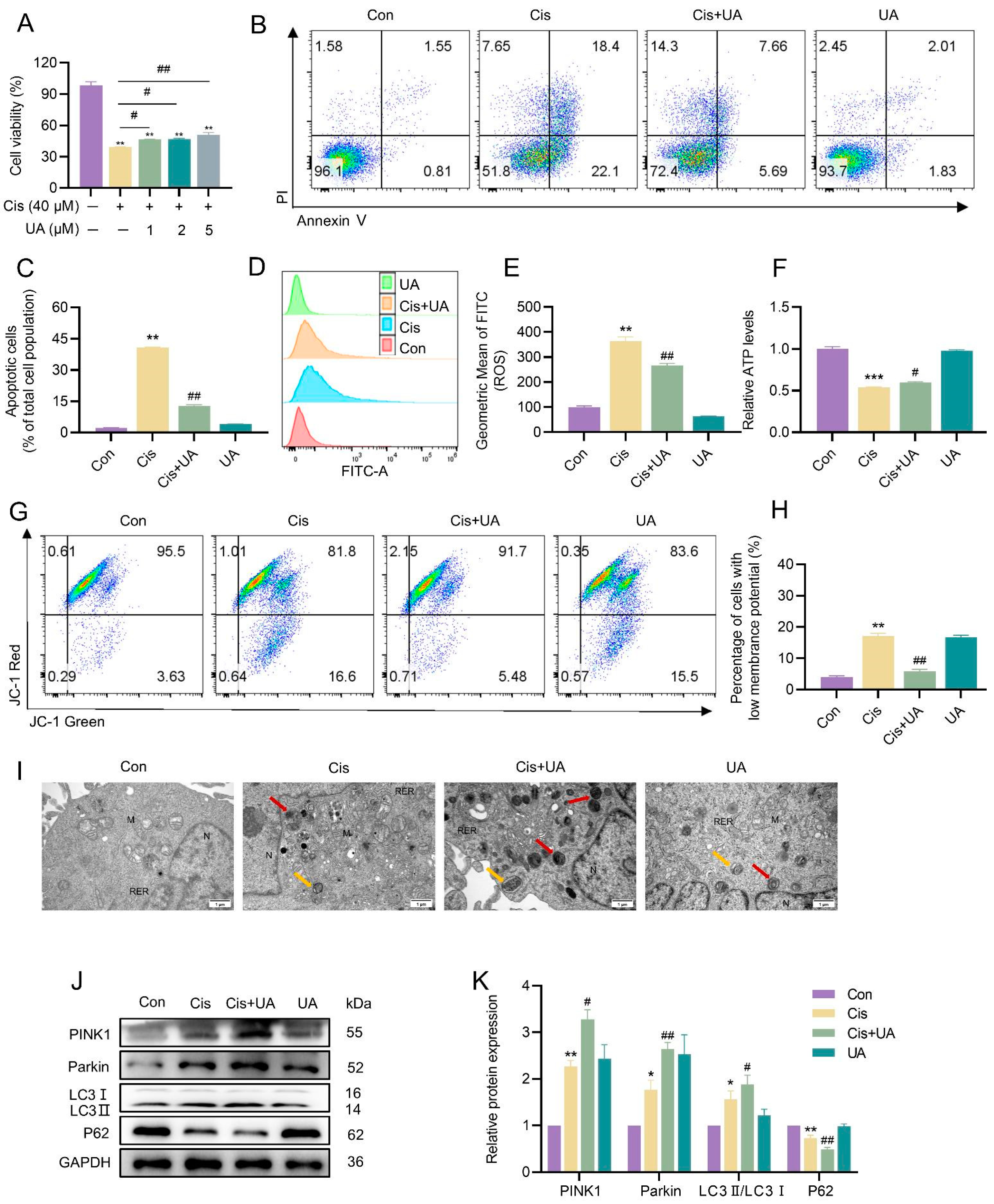 Toxics 13 00332 g005