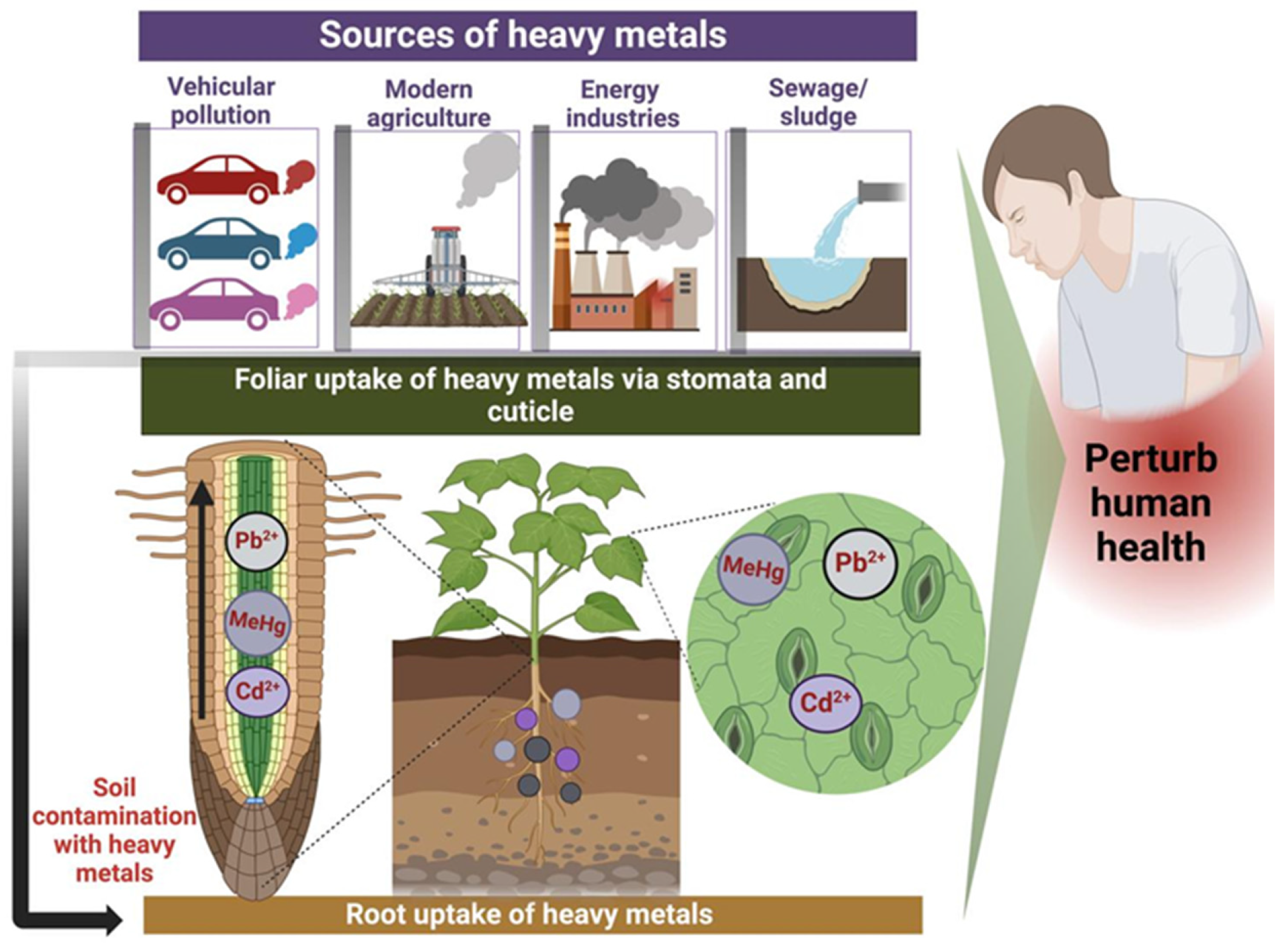 Toxics 13 00333 g002