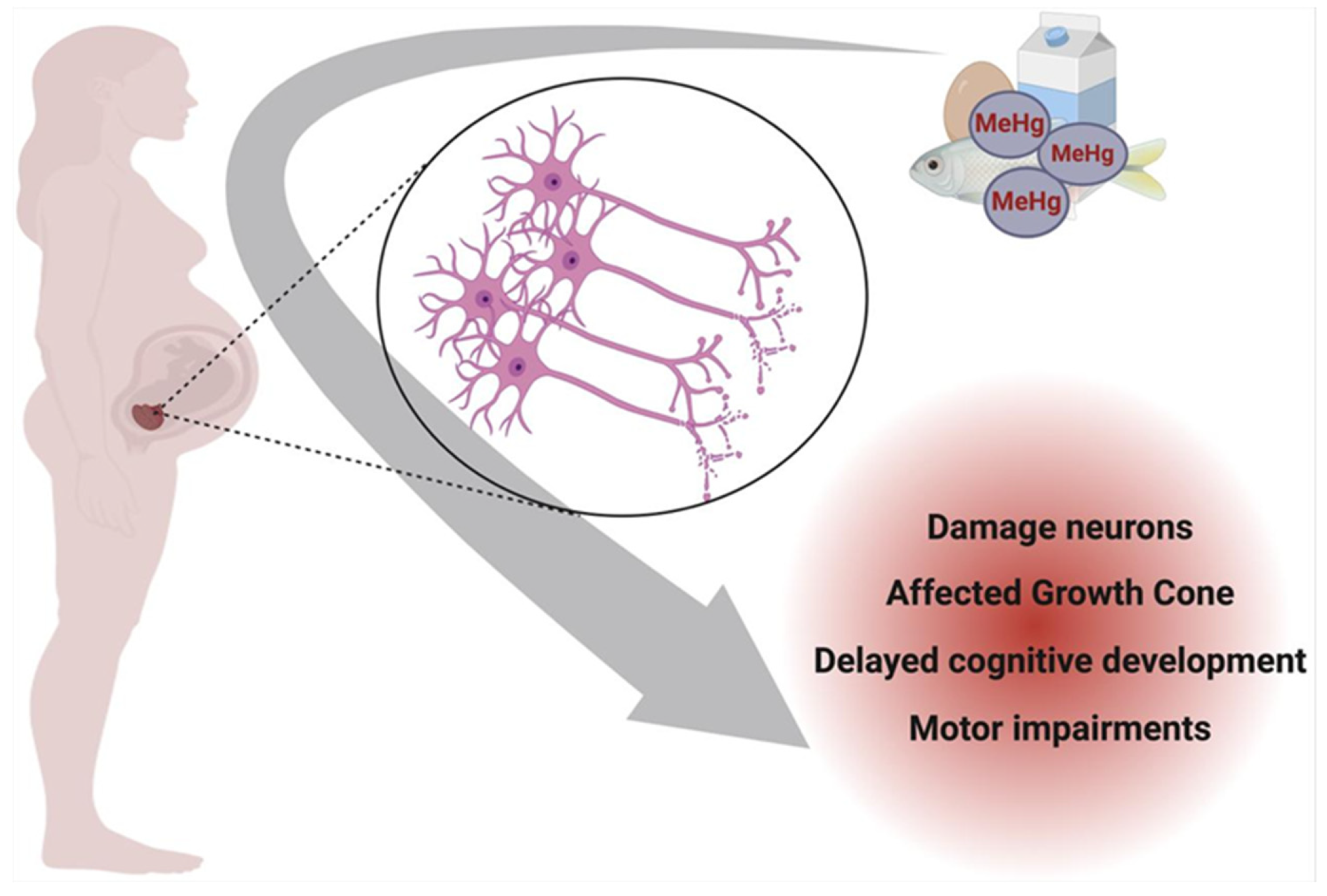 Toxics 13 00333 g003