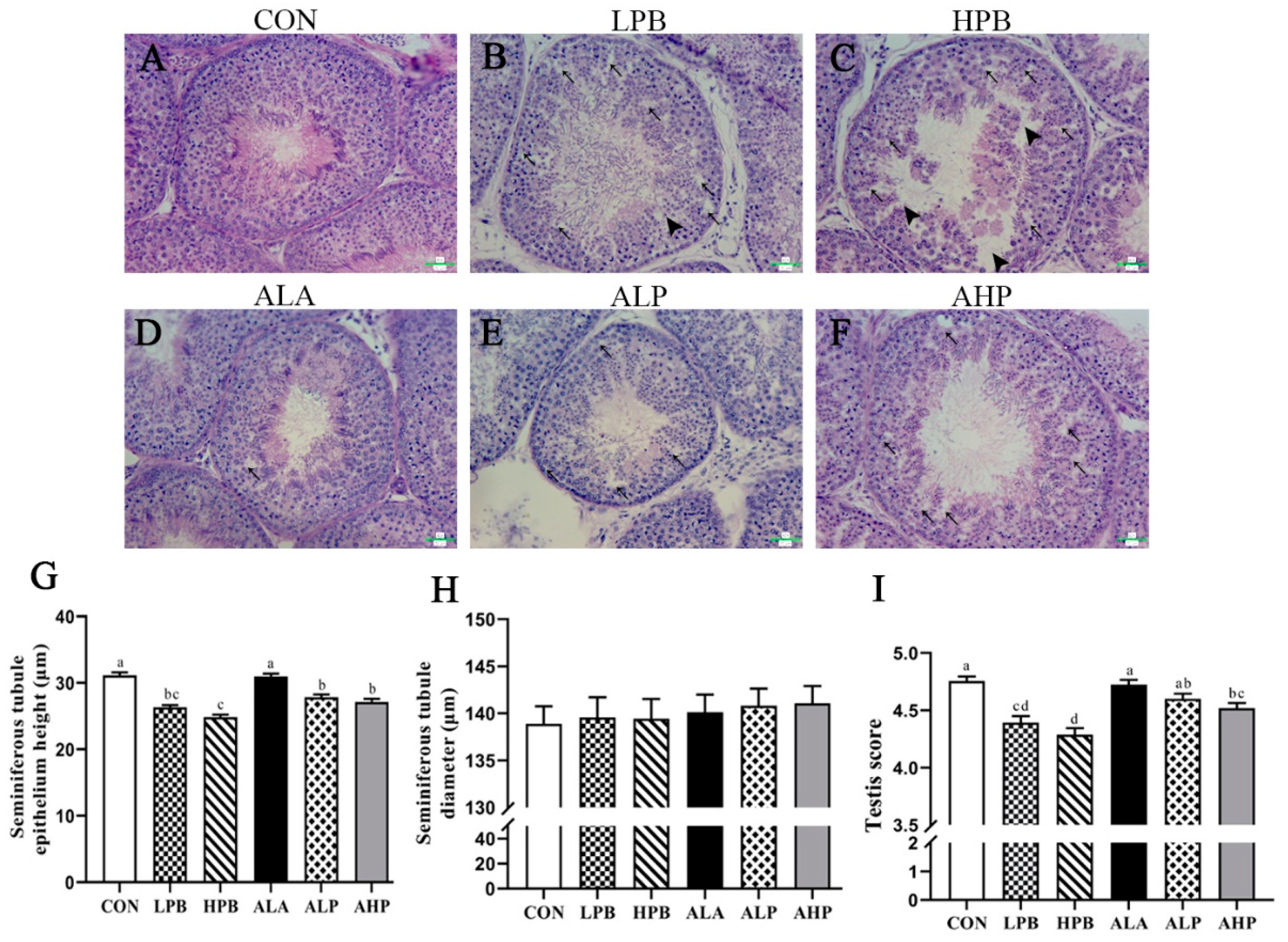 Toxics 13 00341 g002