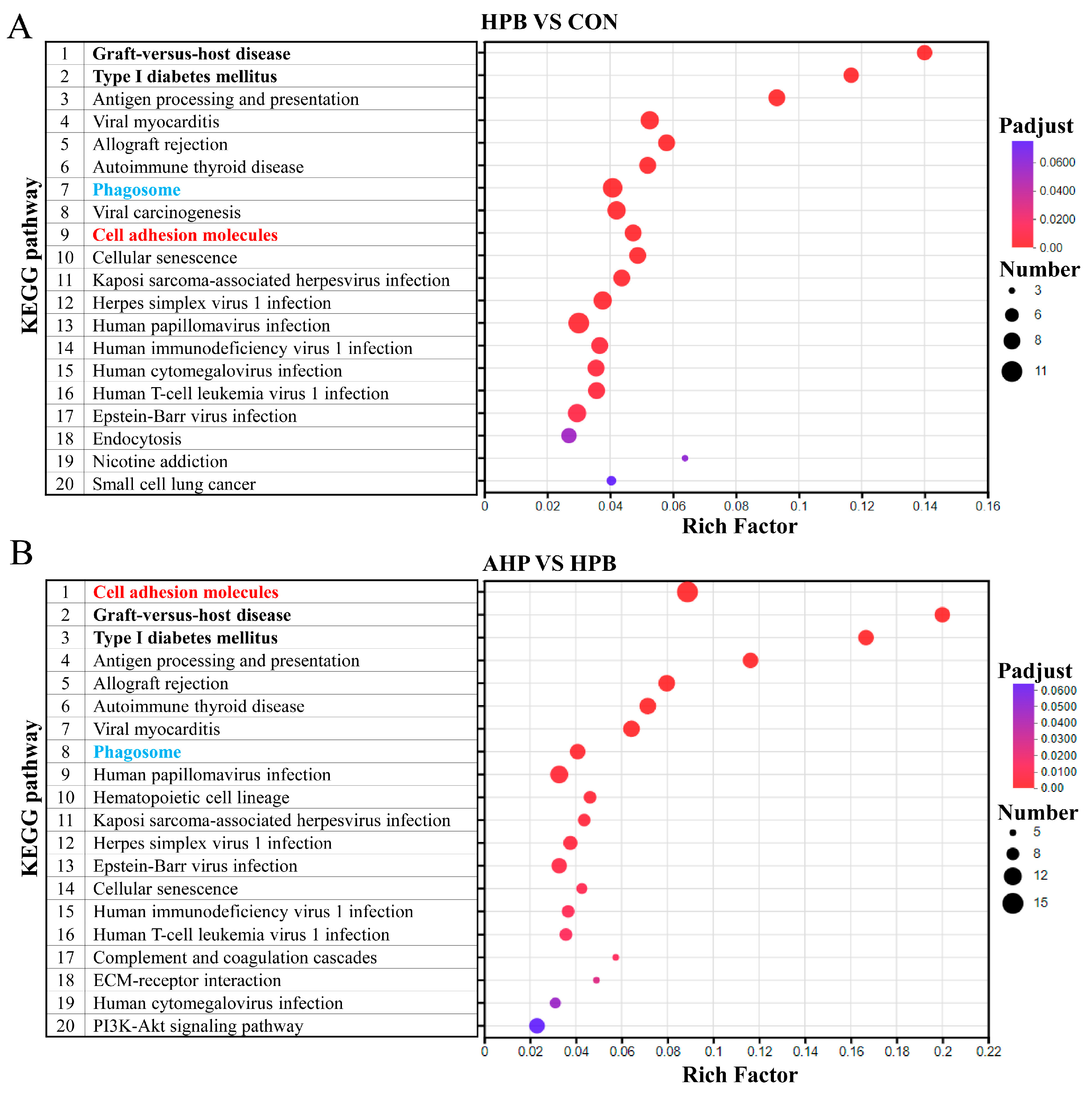 Toxics 13 00341 g005