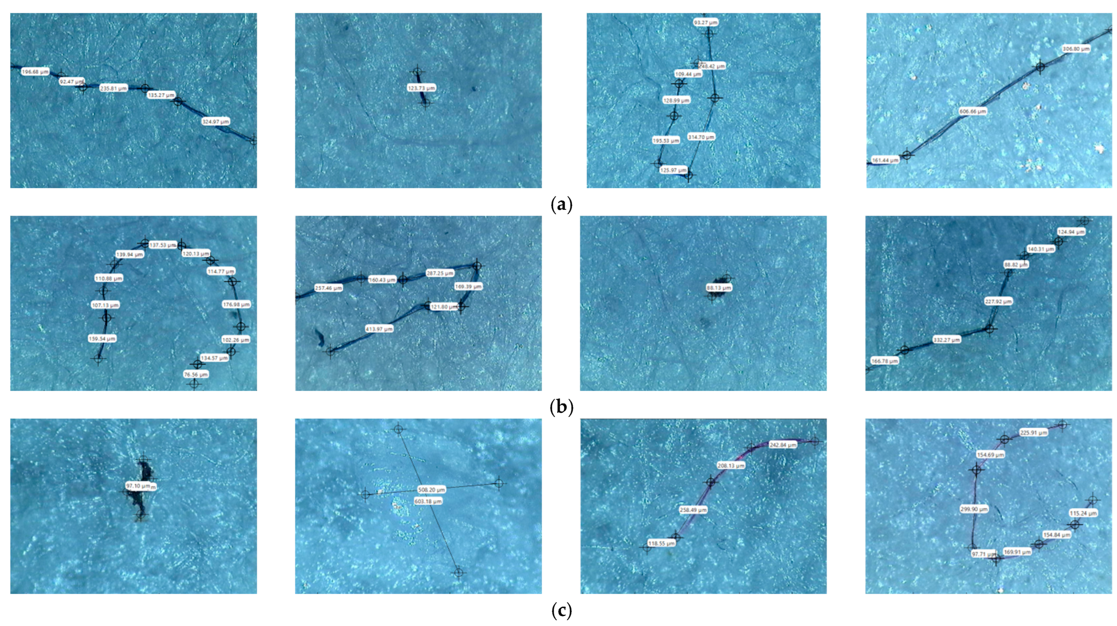 Toxics 13 00354 g001