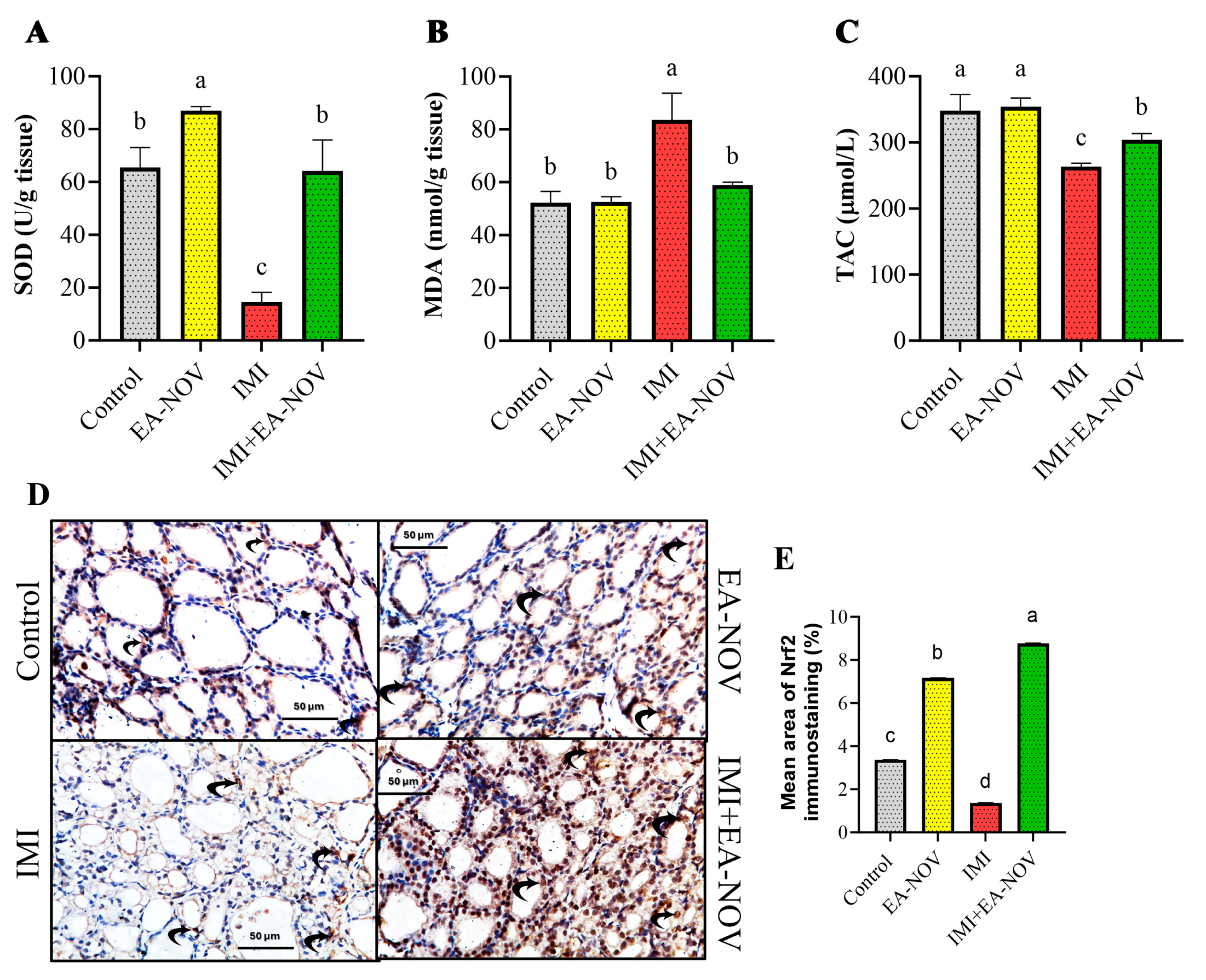 Toxics 13 00355 g004