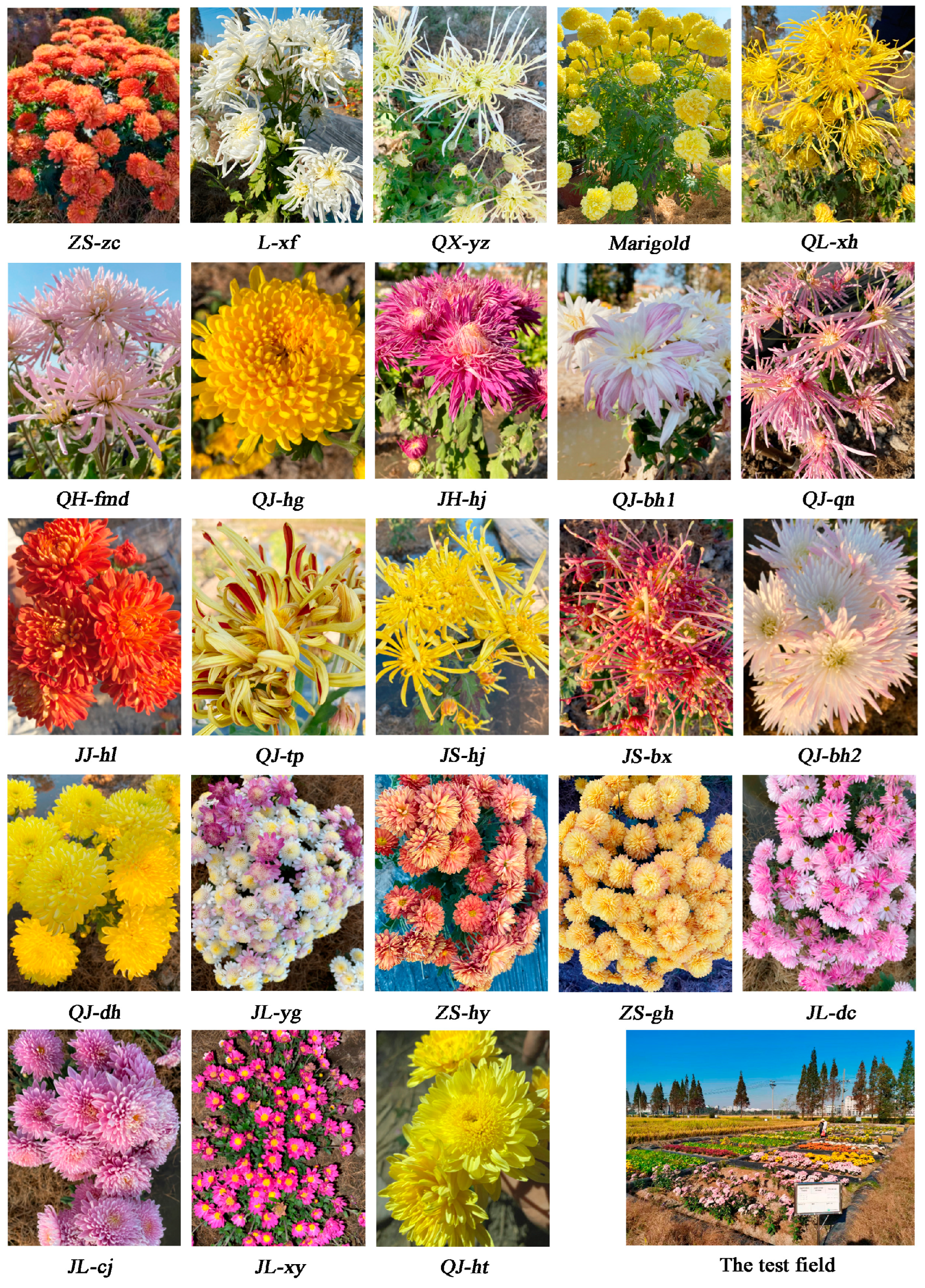 Toxics 13 00360 g001