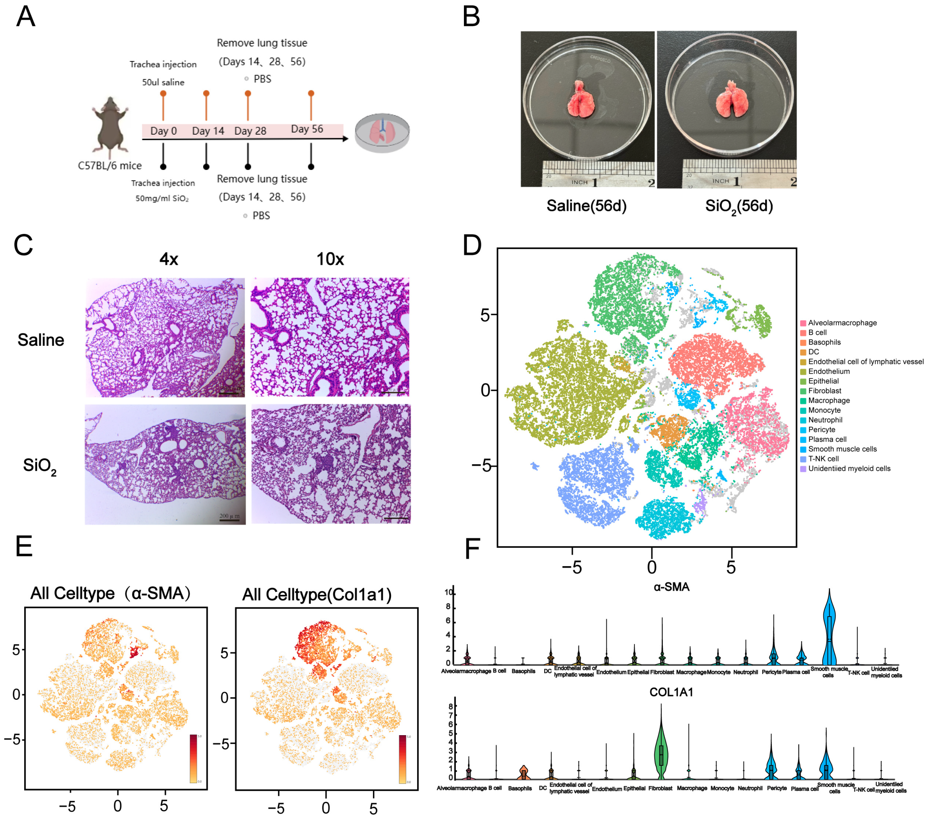 Toxics 13 00365 g001