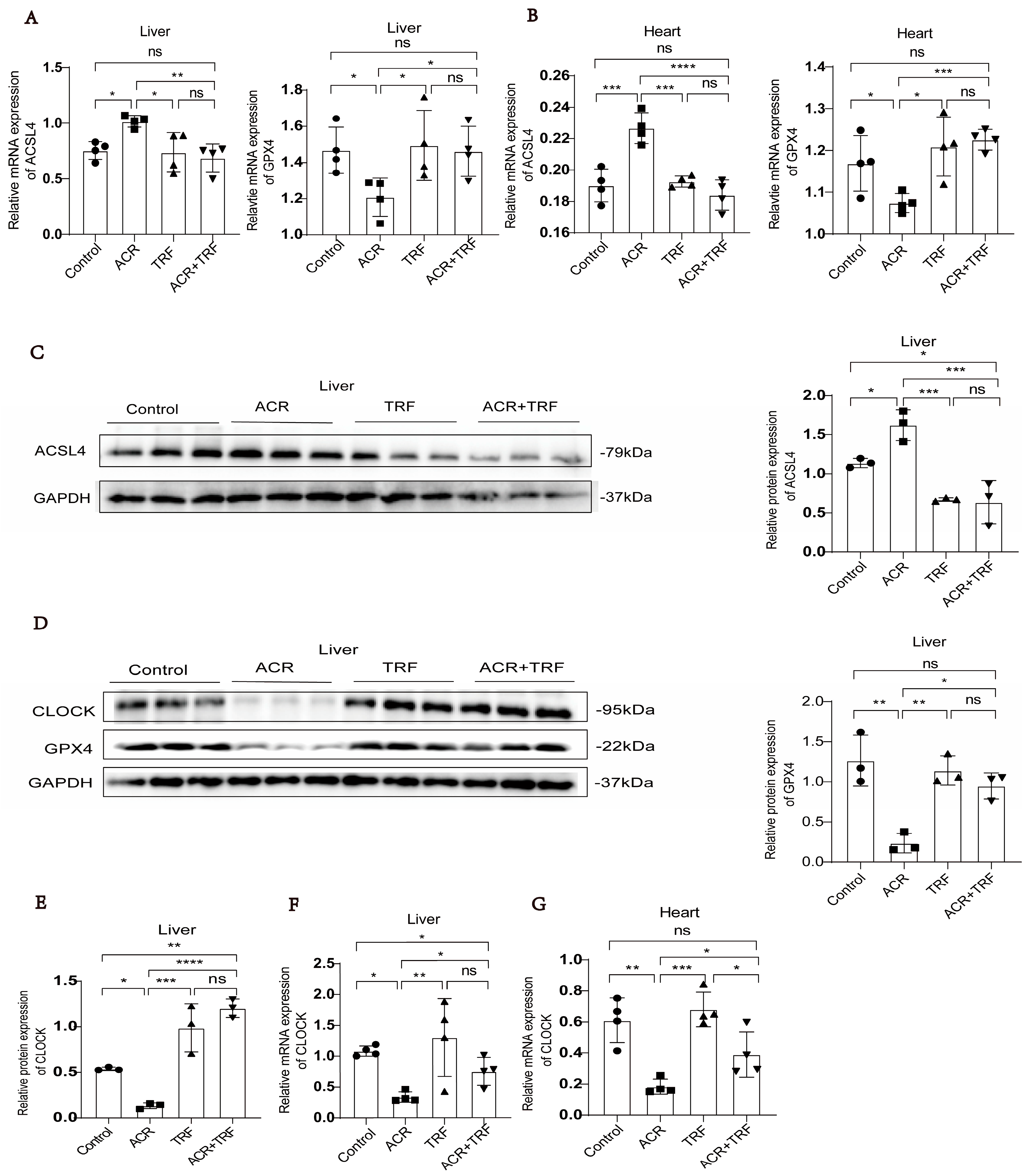 Toxics 13 00369 g001