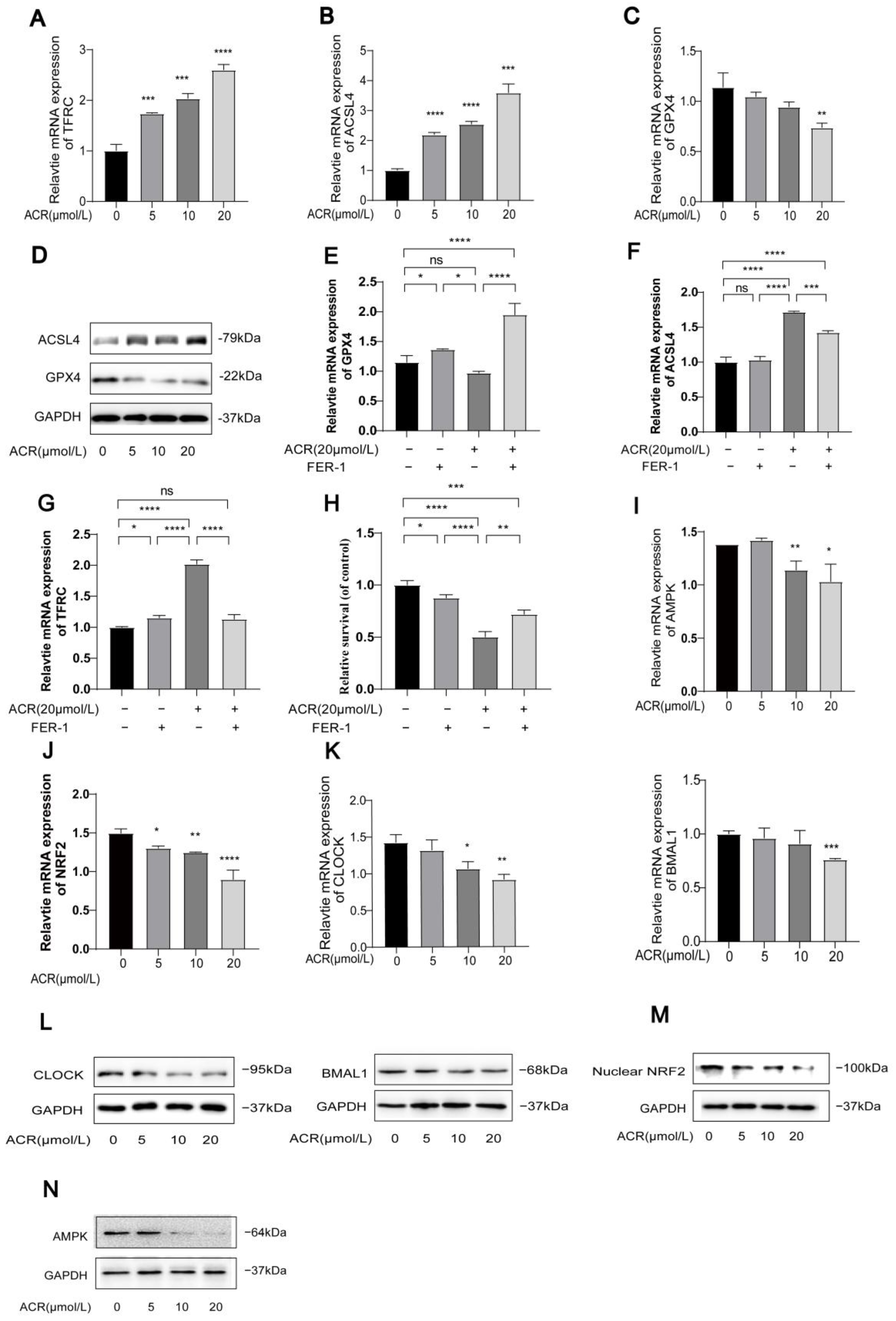 Toxics 13 00369 g002