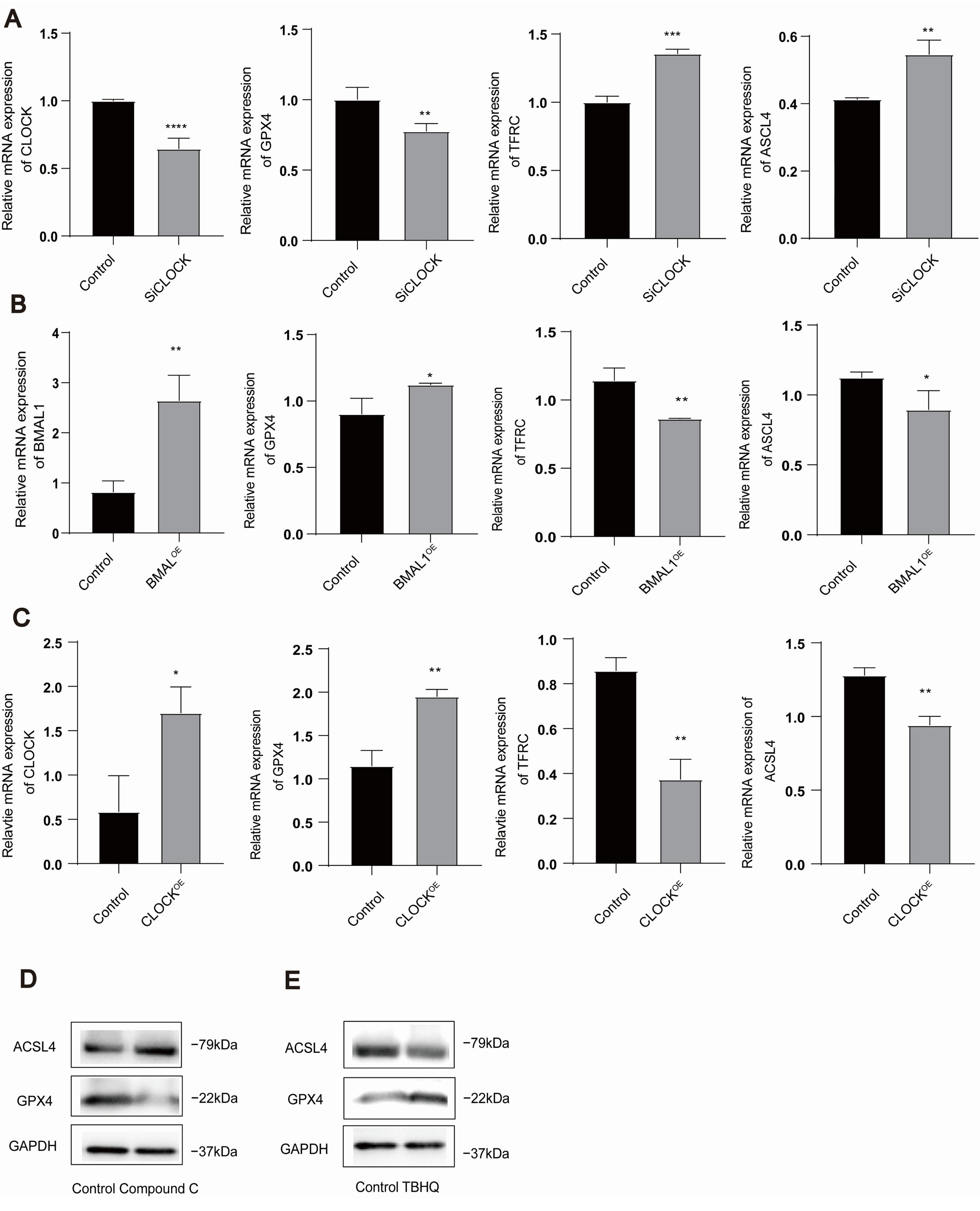 Toxics 13 00369 g003