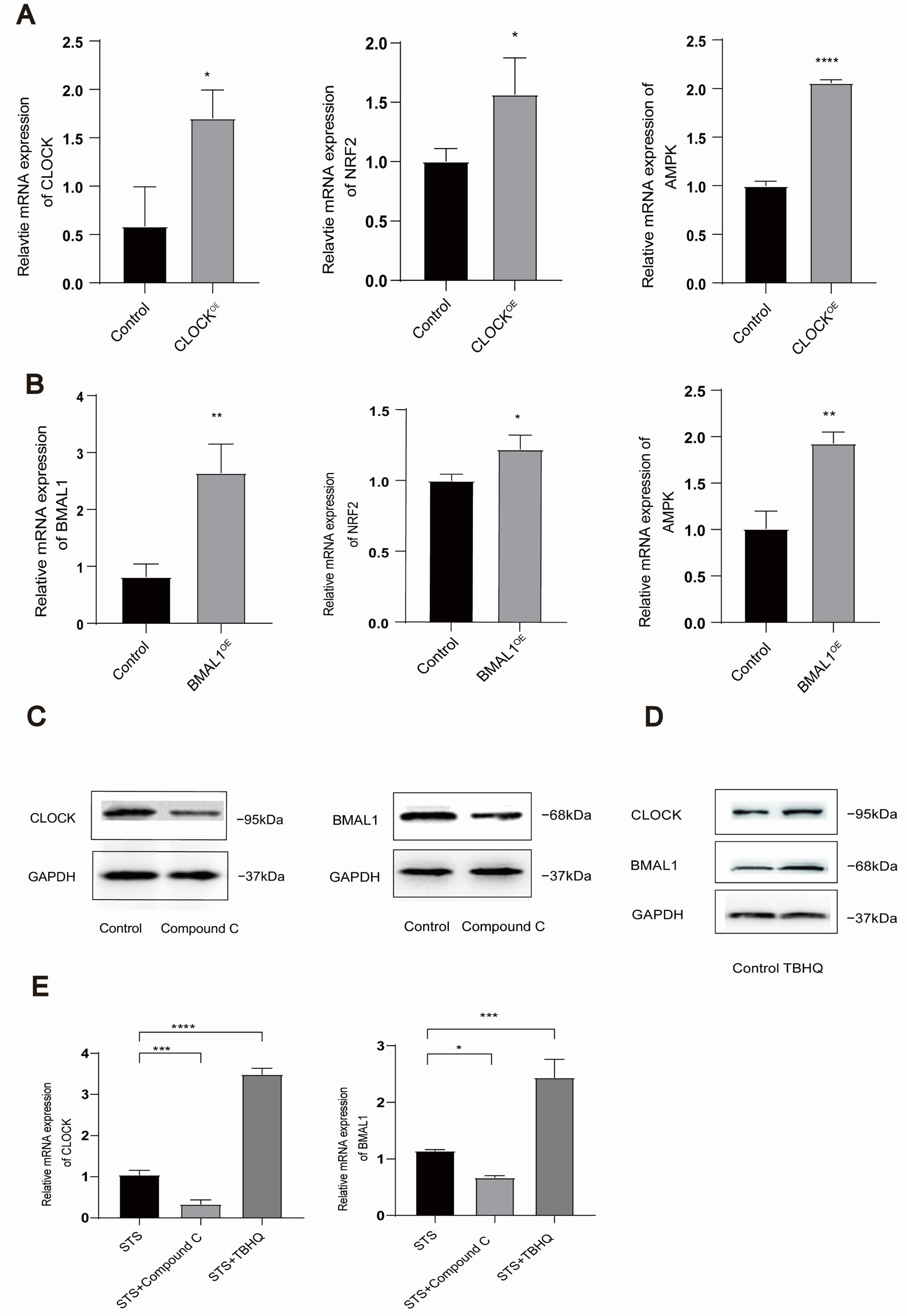Toxics 13 00369 g004